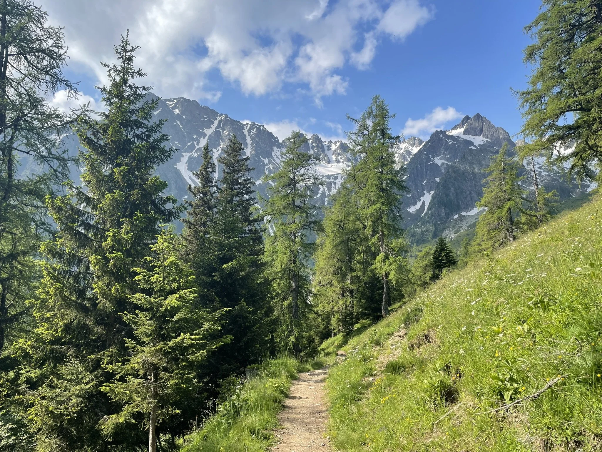 TMB Day 3: Trient to La Fouly - June 2023