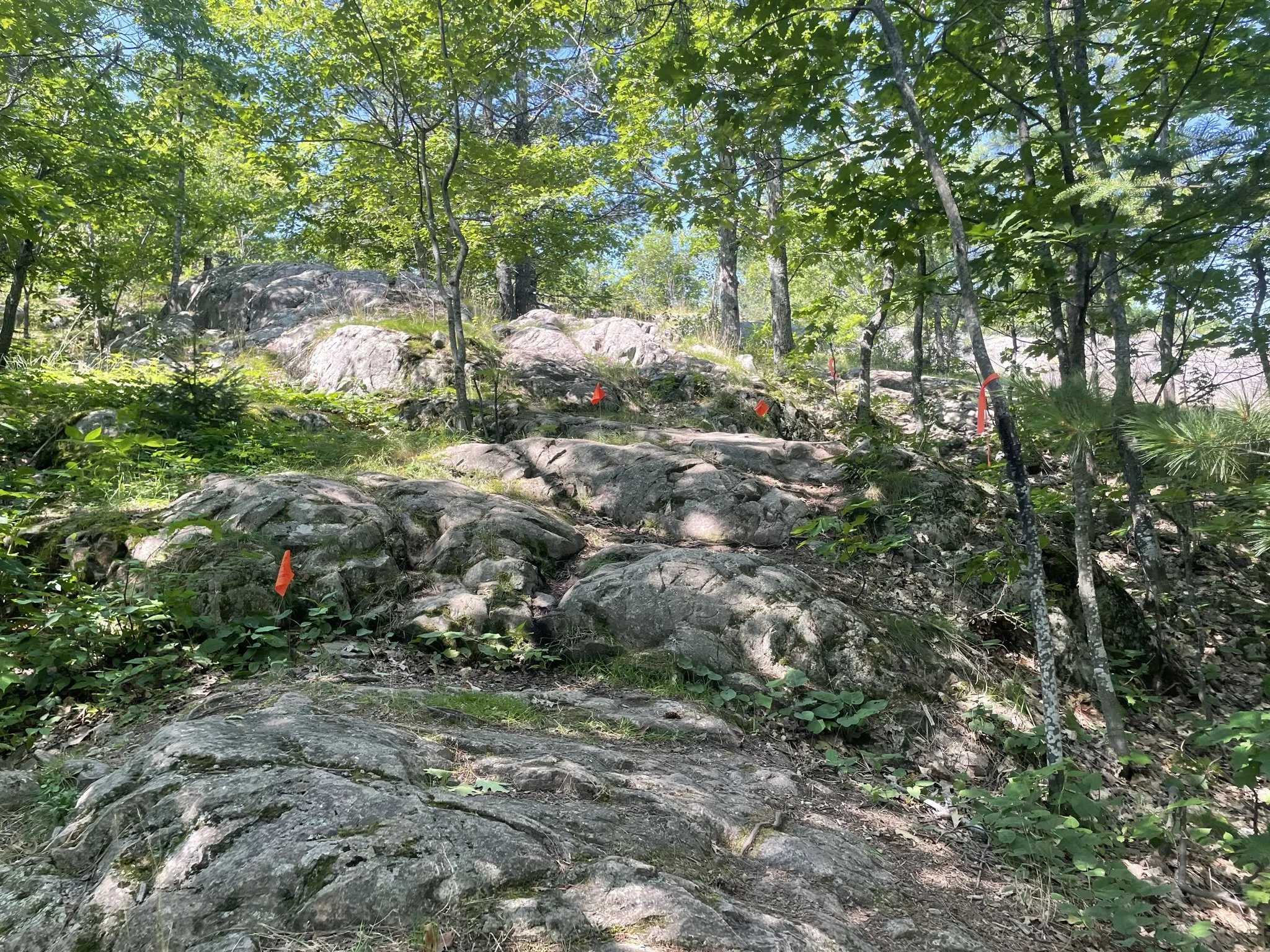 Marquette Trail 50 - August 2023