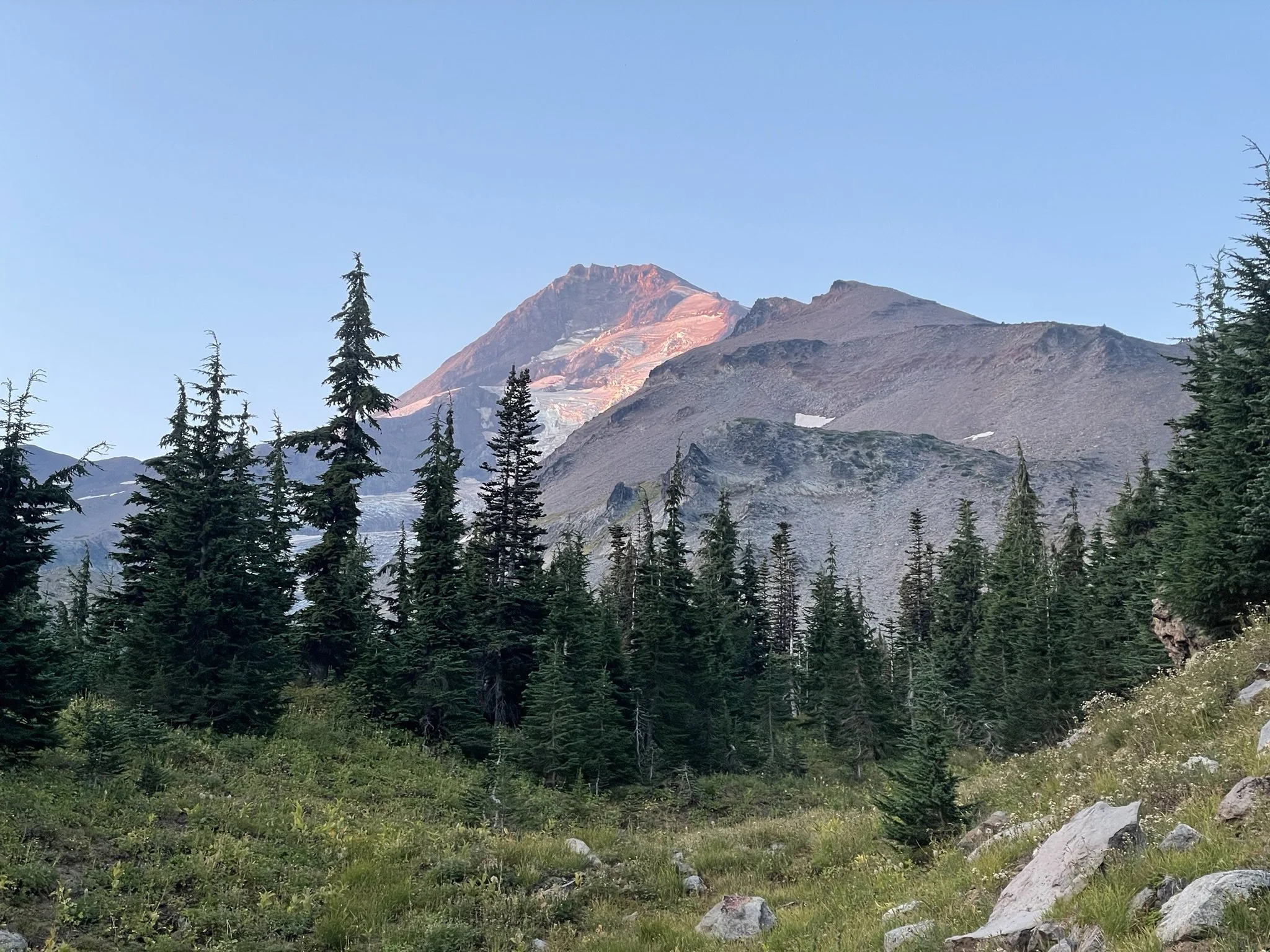Elk Cove Campsite - Mt. Hood
