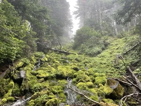 0C6B93DF-274D-45D6-8884-55EBB2F1A994_4_5005_c.jpeg