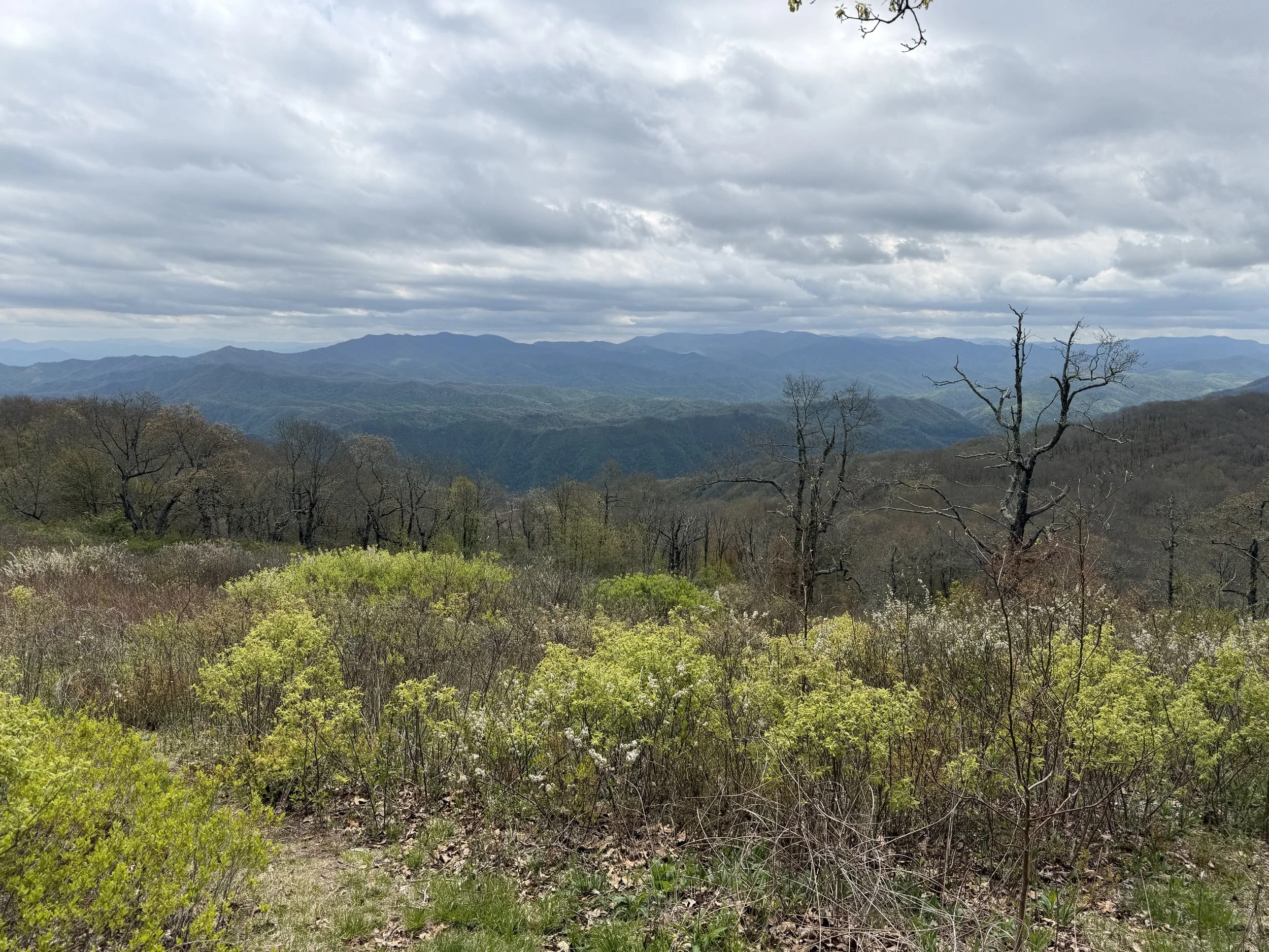 IMG_2610.jpeg