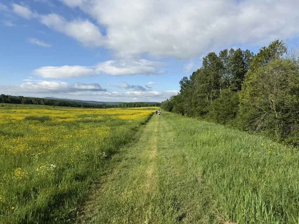 Notos 45K - Victoriaville, QC - June 2026
