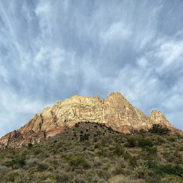 things I&rsquo;ve seen outside...🌎💚