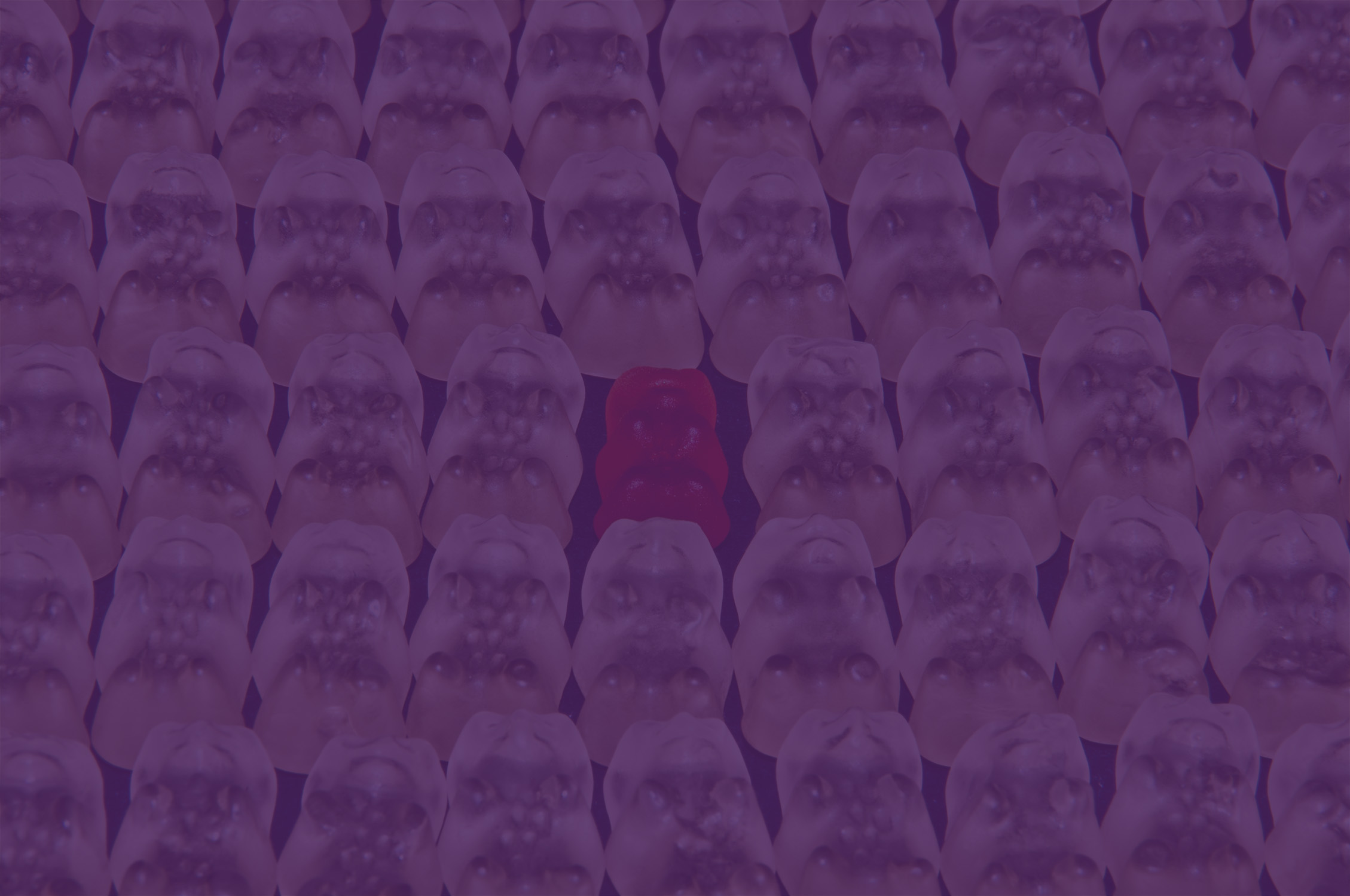 recruitment-software-background.jpg