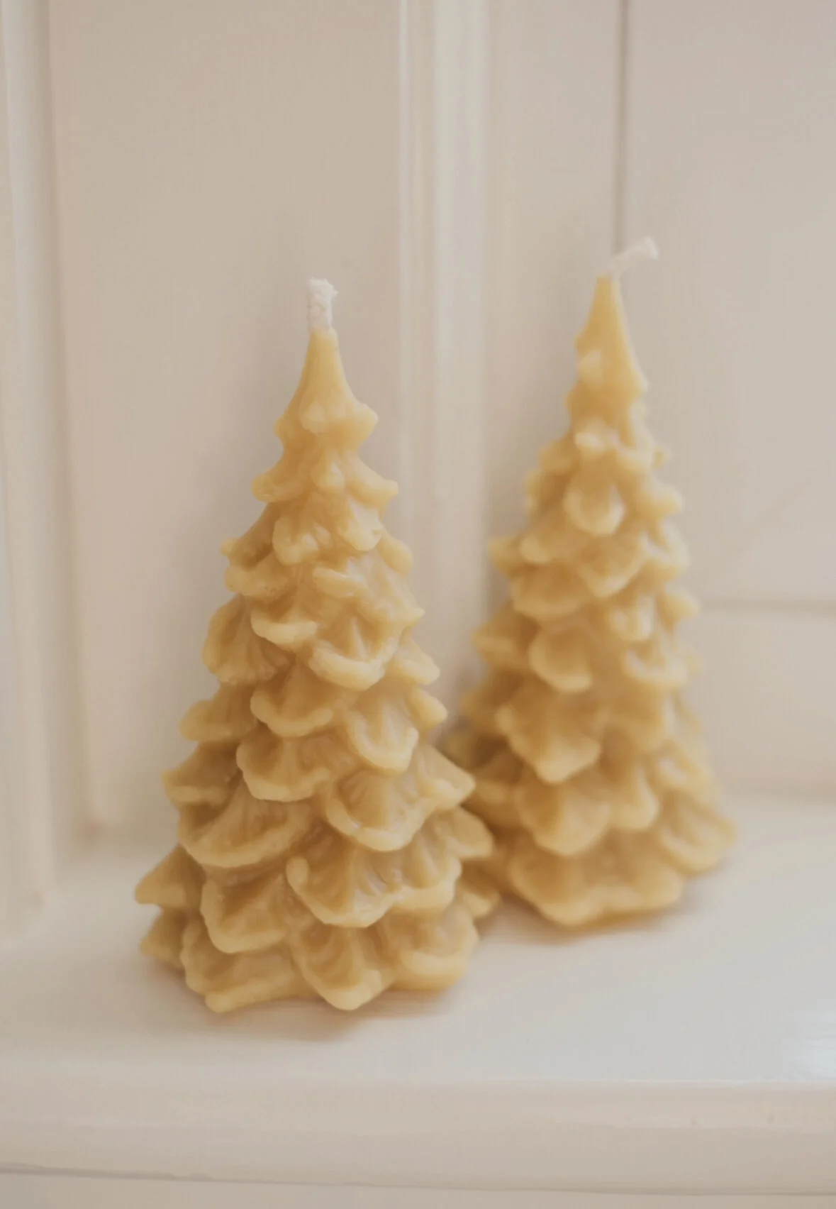 413B9F4A-BB27-47A1-BC37-7001C126DCC8