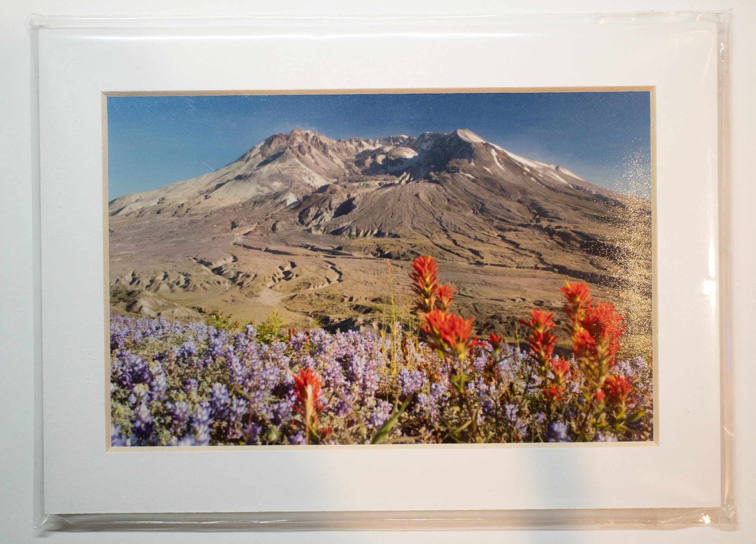 Mounted 4x6 Photograph of Mount Saint Helens