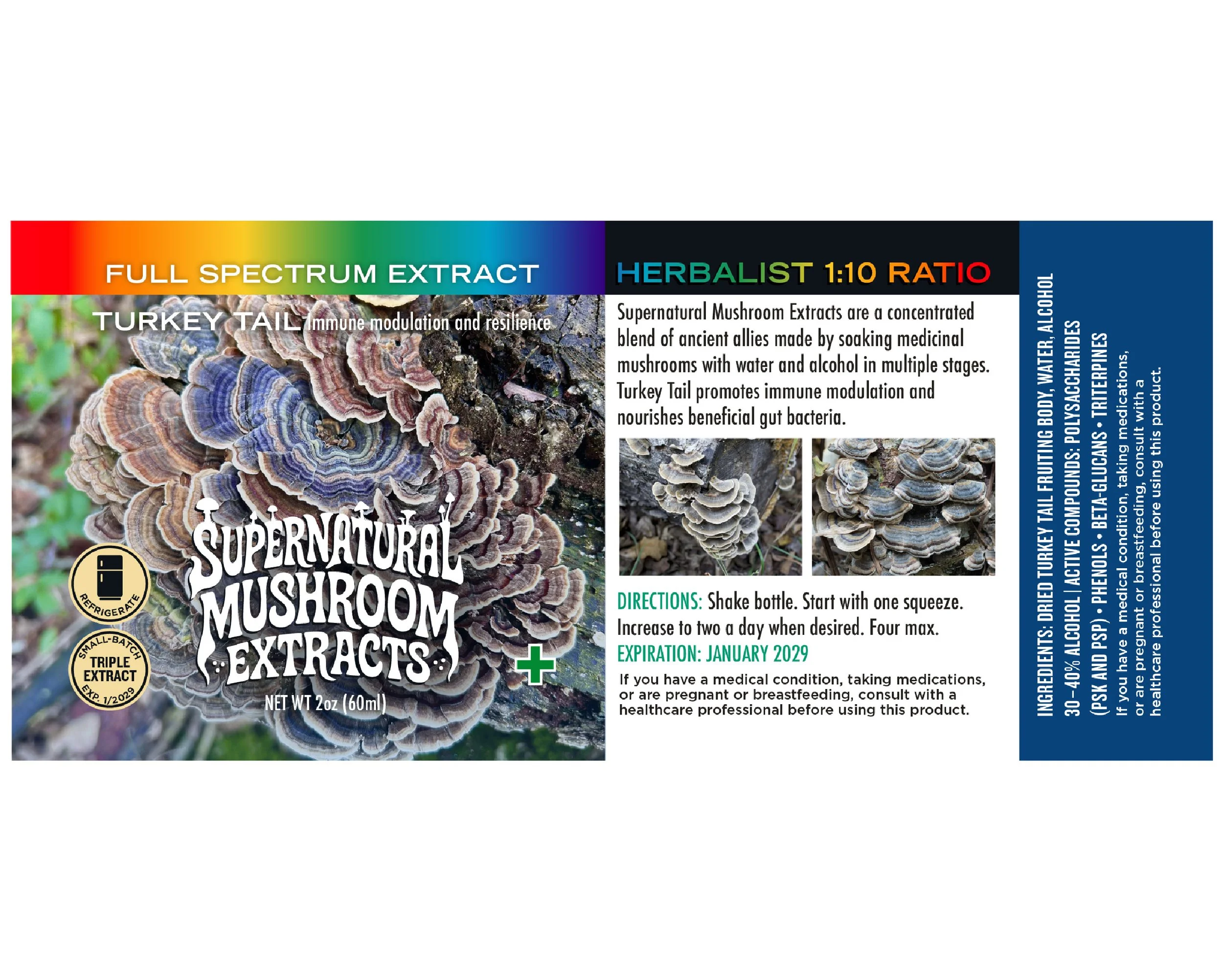 Supernatural Mushroom Extract Portfolio Pages-02.jpg