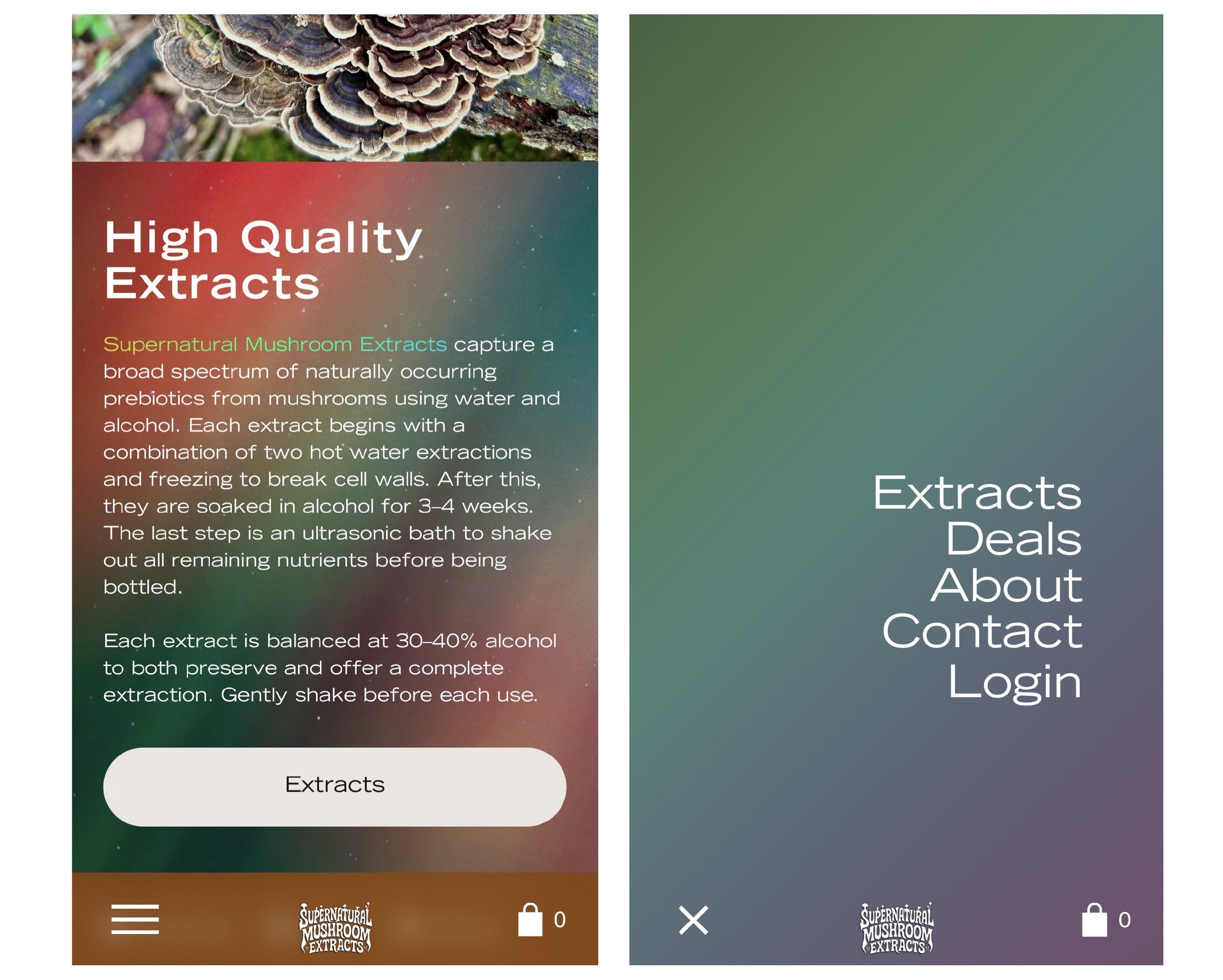 Supernatural Mushroom Extract Portfolio Pages-05.jpg