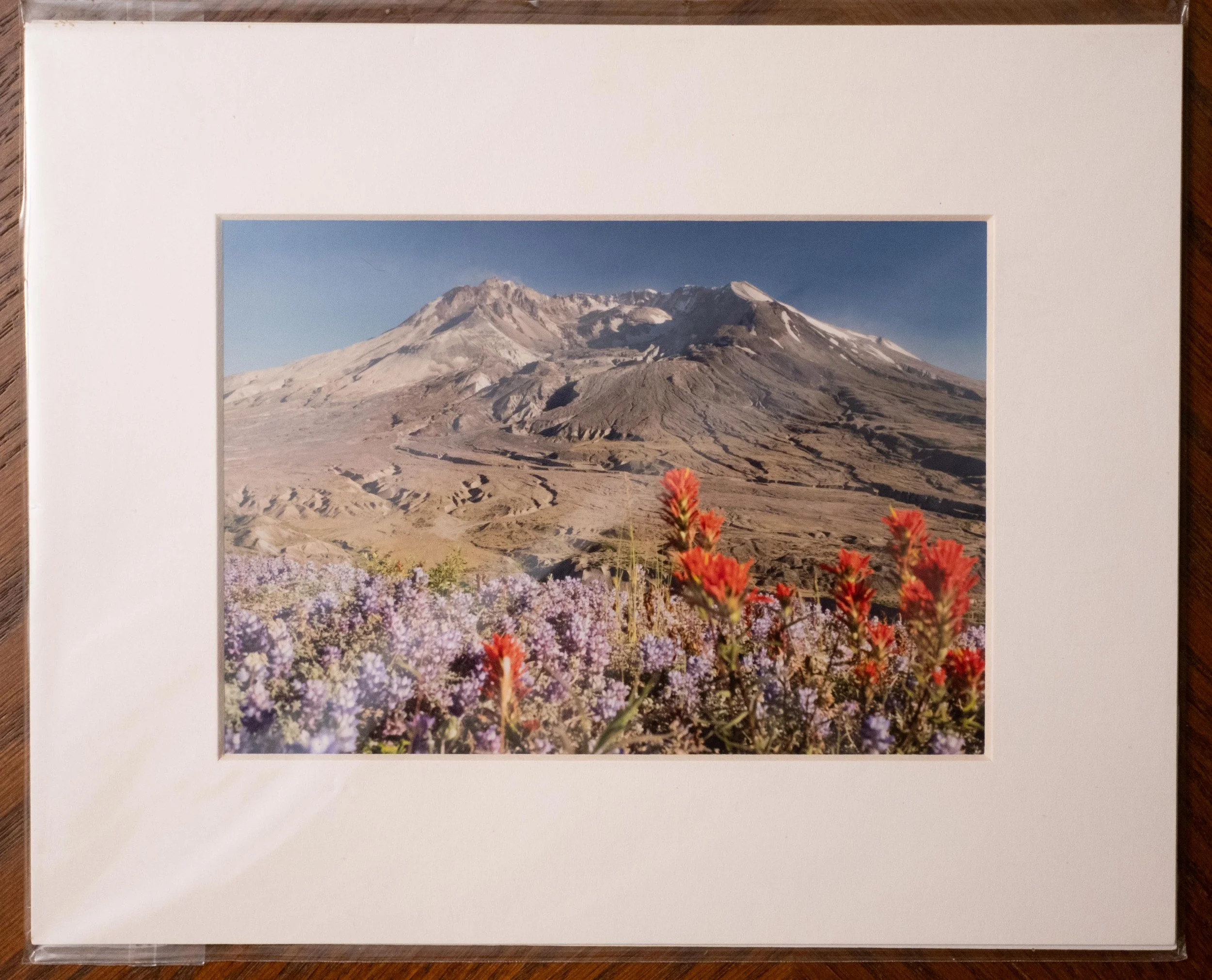 Mounted 8x10 Photograph of Mount Saint Helens (Copy)