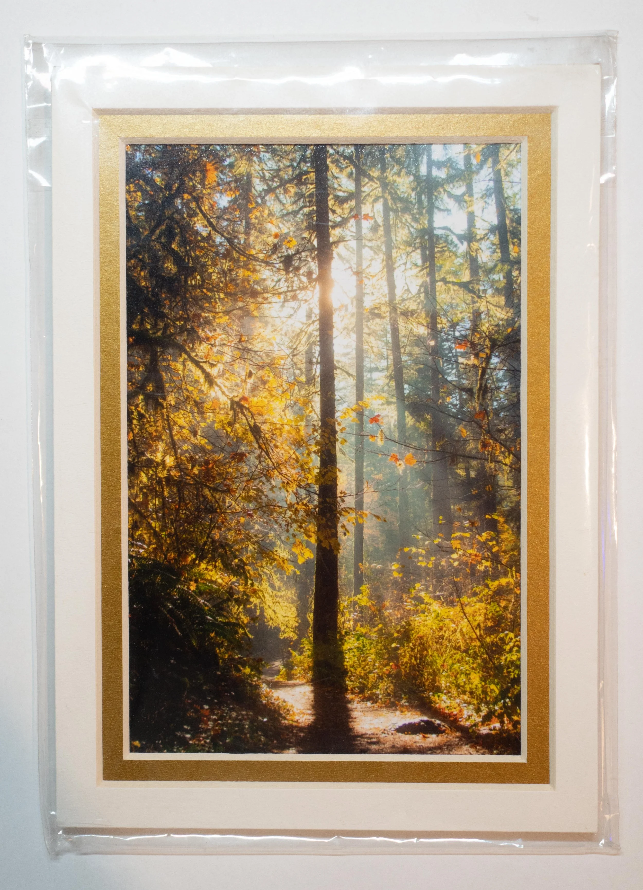 Mounted 4x6 Photograph from Silver Falls State Park Oregon