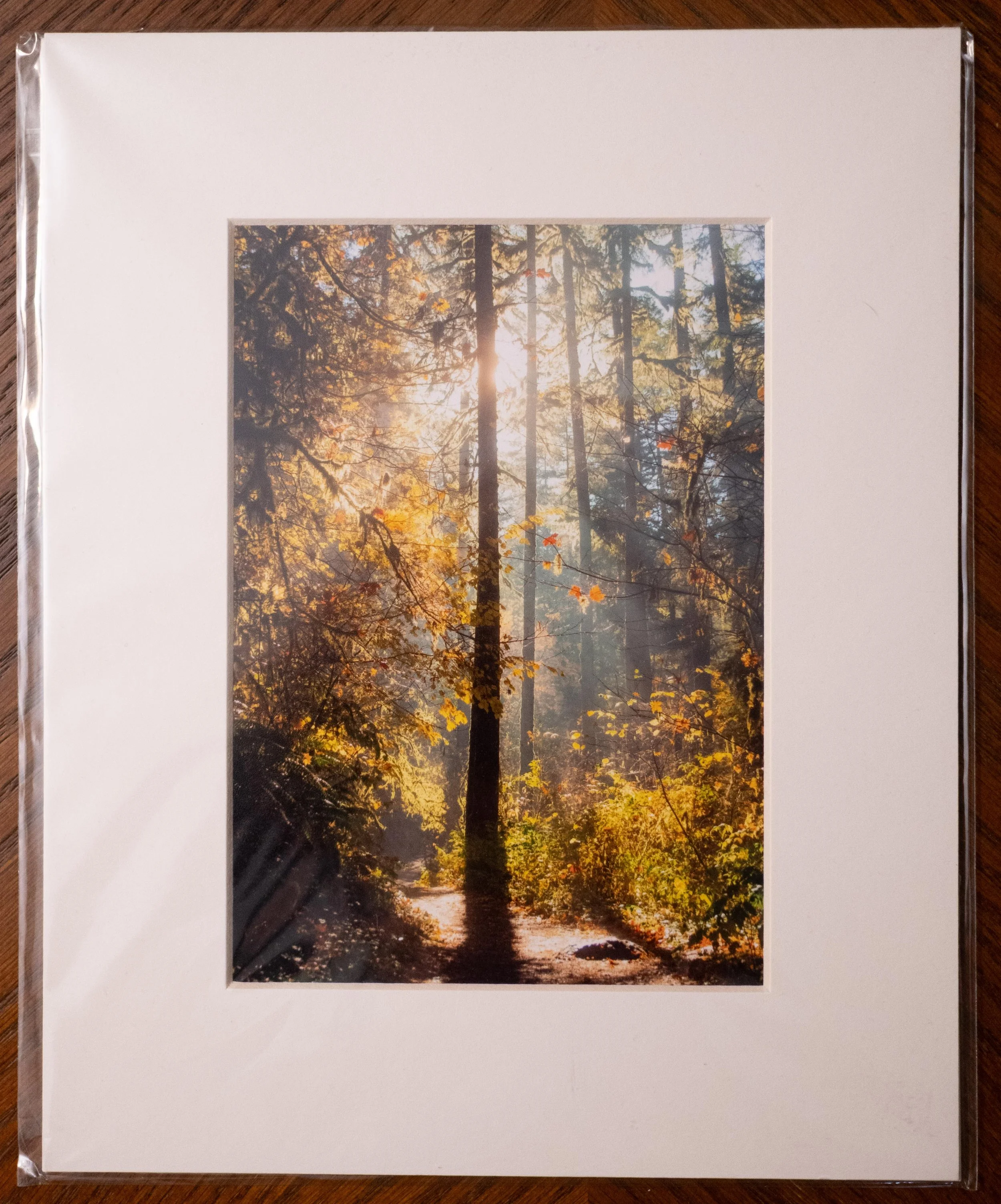 Mounted 8x10 Photograph from Silver Falls State Park Oregon