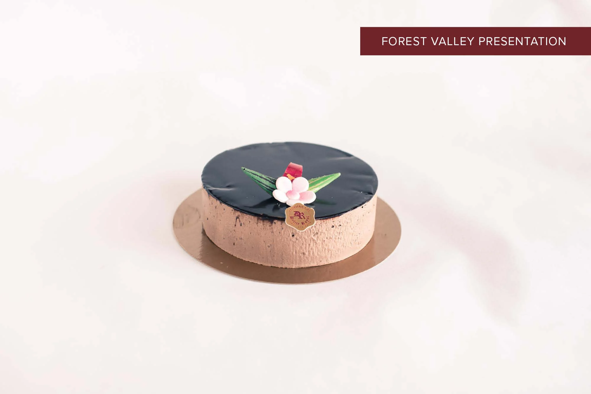 Chocolate Mousse Cake