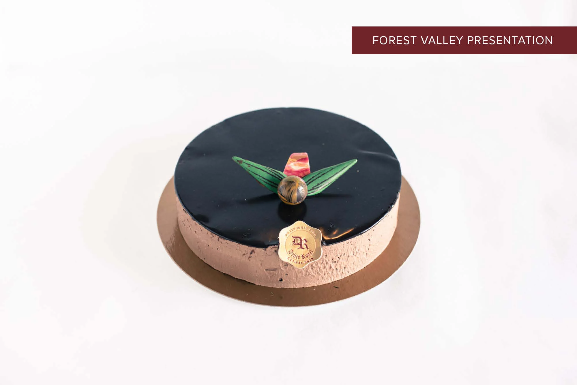 Chocolate Mousse Cake