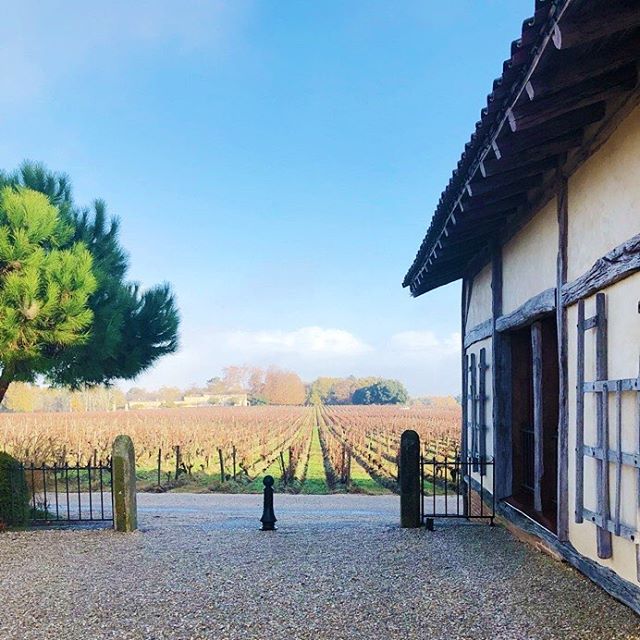 Wine tasting visit to @smithhautlafitte last year. A gorgeous 14th century estate about 20 minutes outside of Bordeaux. 🍷