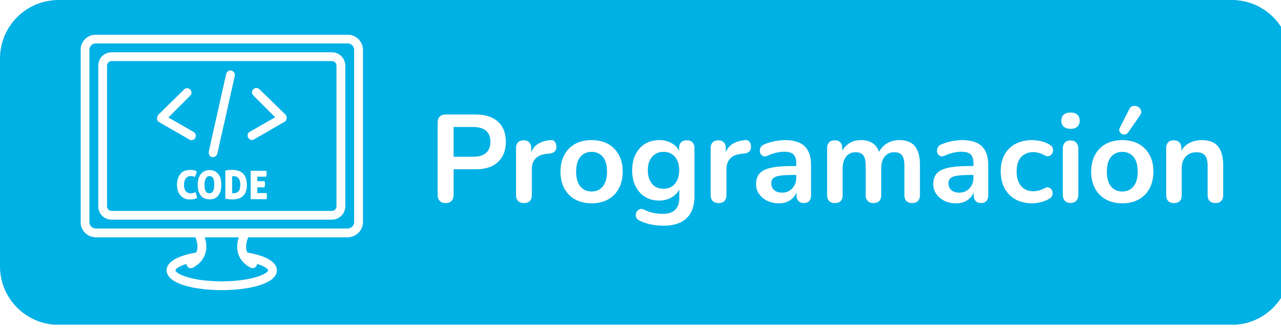 Blue rectangular button with a white computer monitor icon displaying a code symbol and the word 'CODE' beneath it, followed by the word 'Programación'.