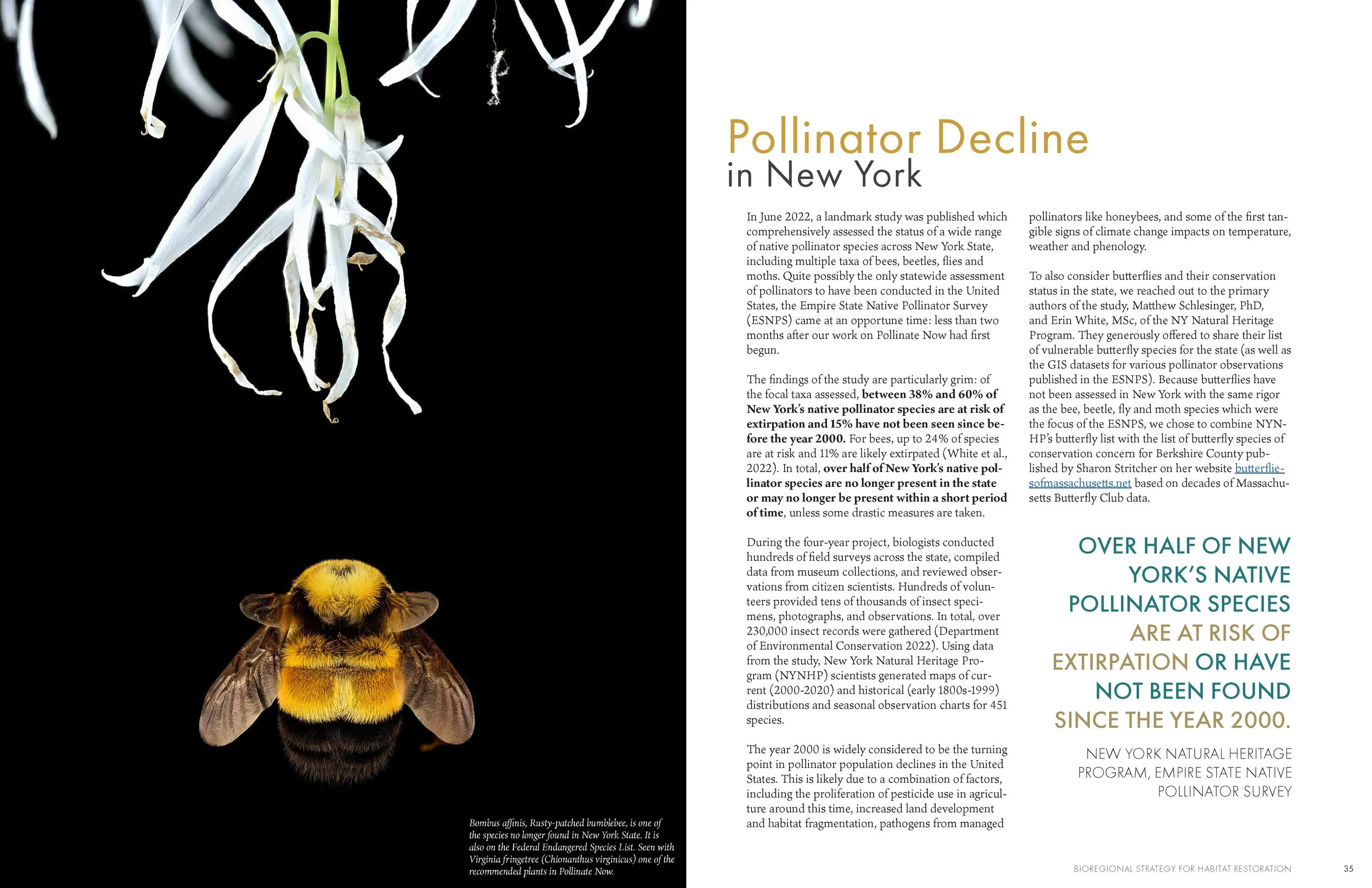 LandscapeInteractions_PollinateNow_HQ_Page_019.jpg