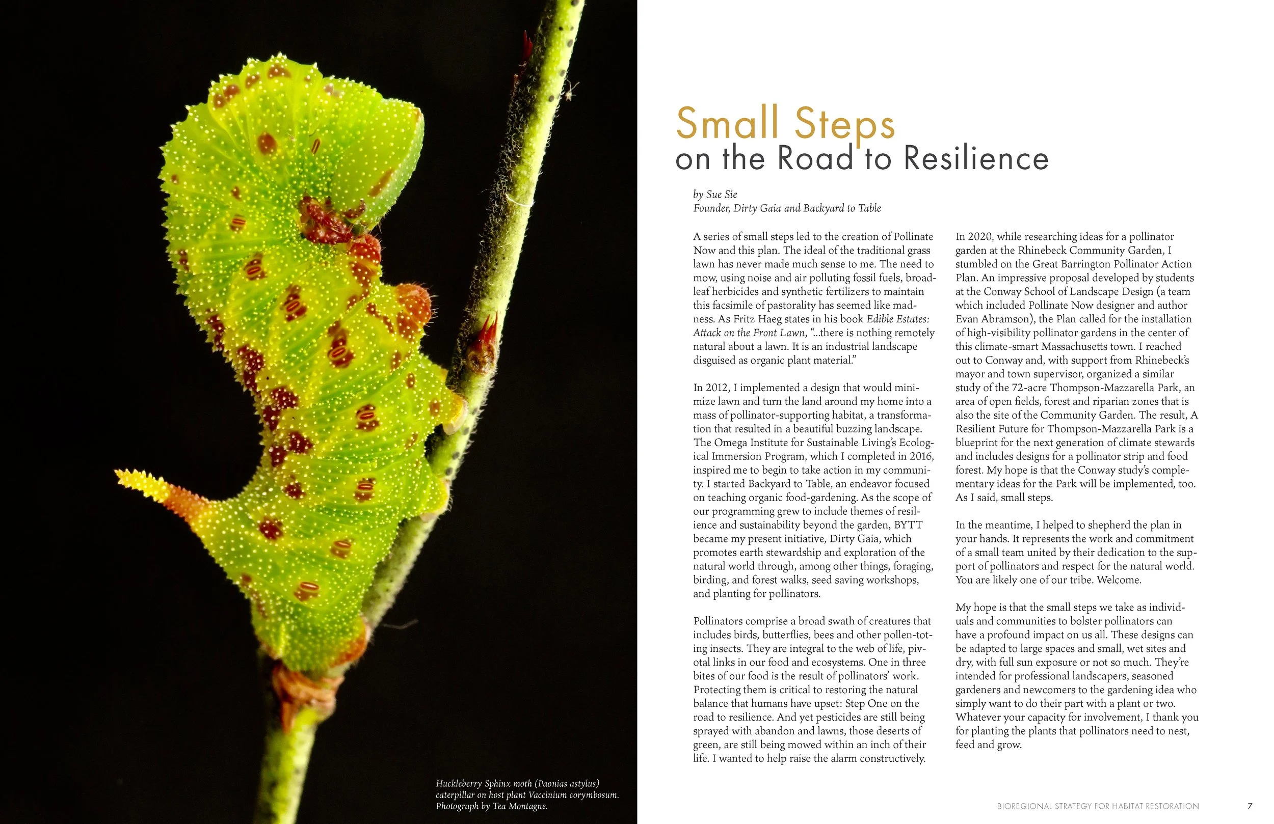 LandscapeInteractions_PollinateNow_HQ_Page_005.jpg