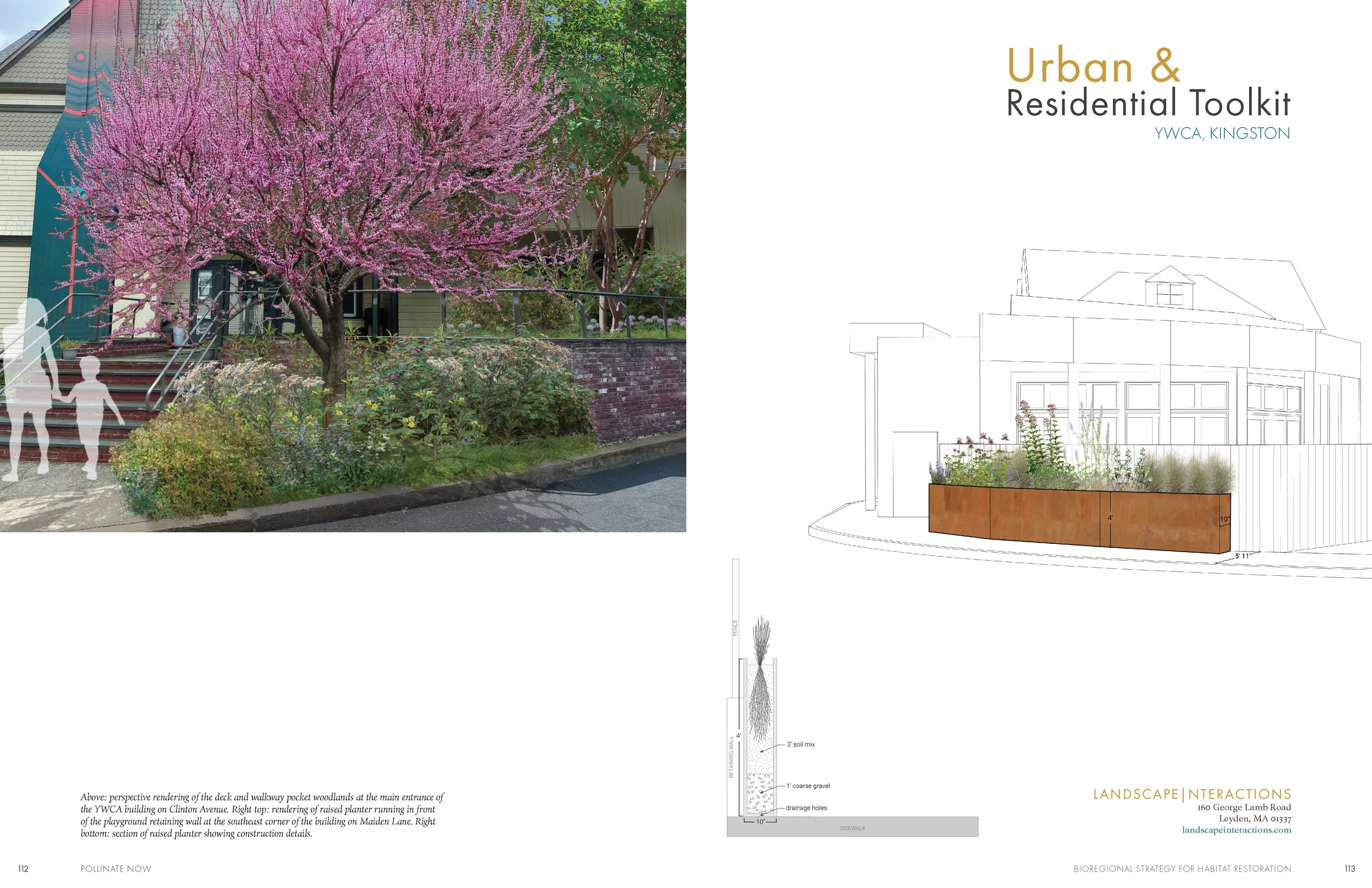 LandscapeInteractions_PollinateNow_HQ_Page_058.jpg