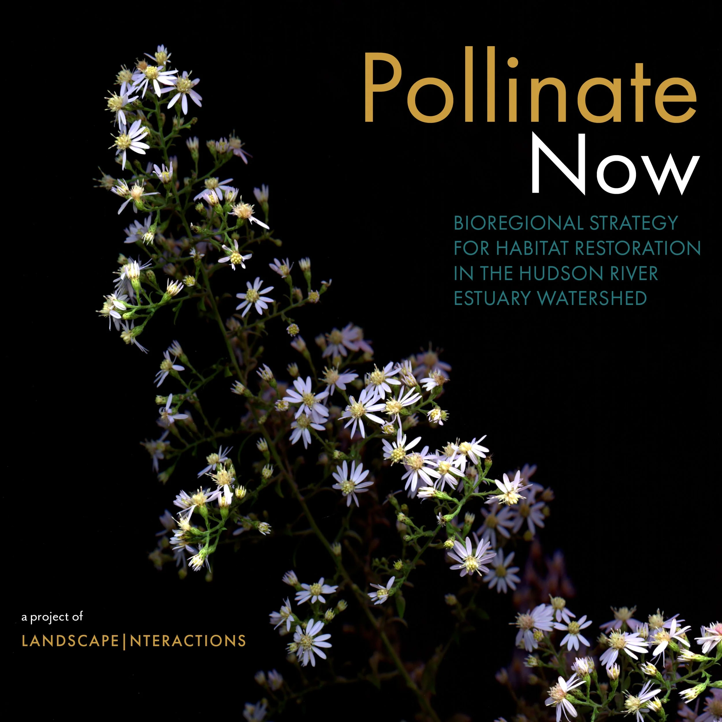 LandscapeInteractions_PollinateNow_emailblast_v2.jpg