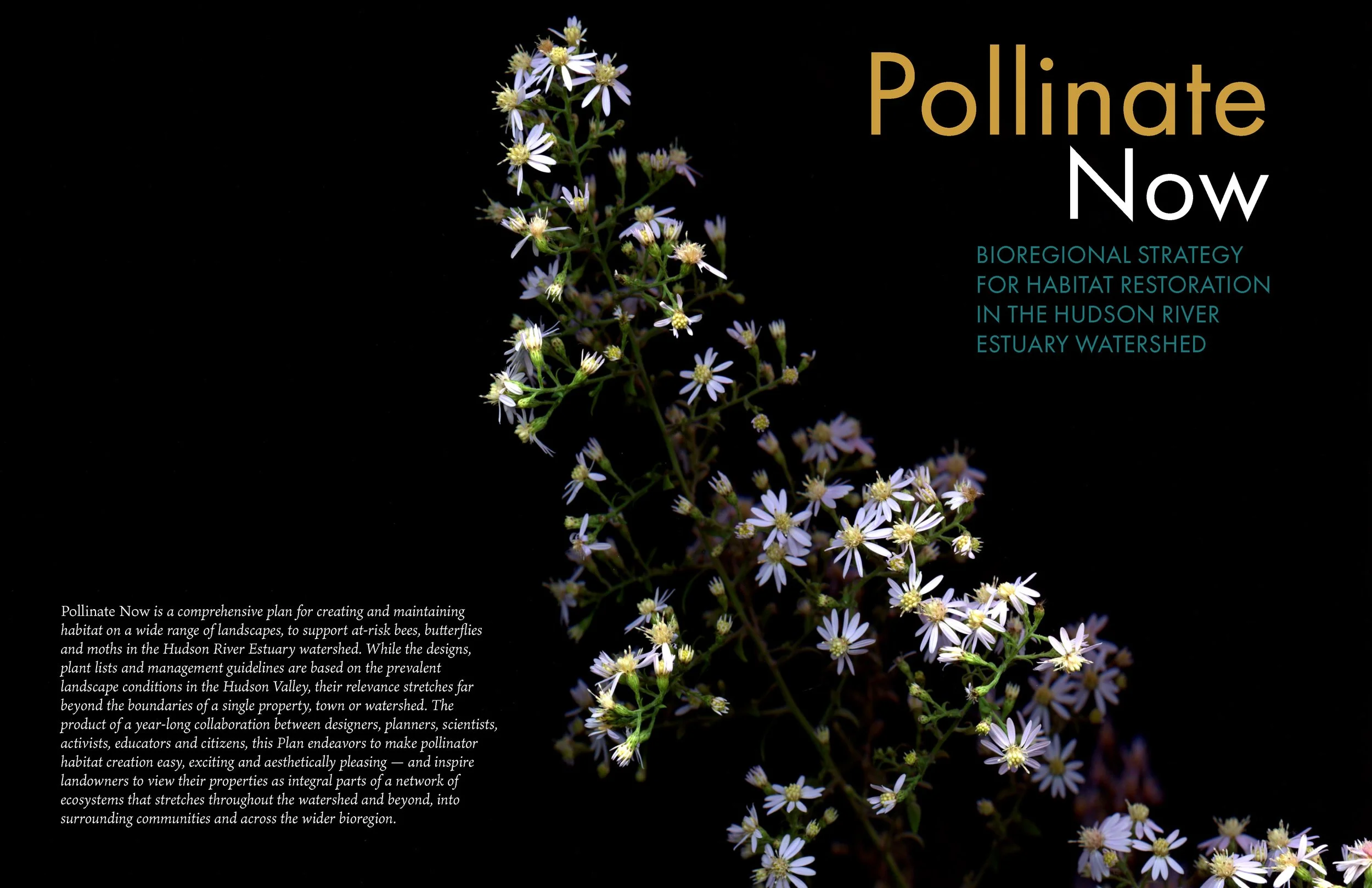 LandscapeInteractions_PollinateNow_Page_001a.jpg