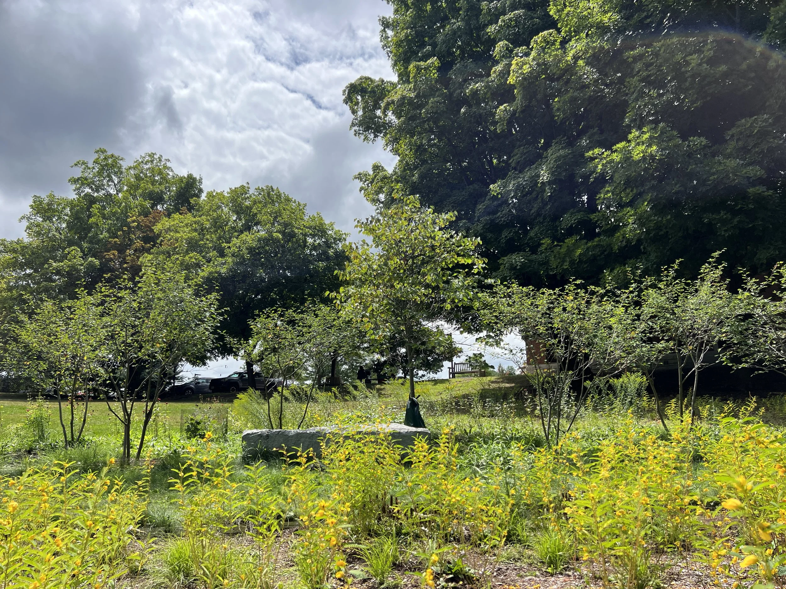 Wellesley_2024_1.JPG