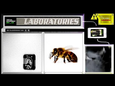 Bee Oil - Sweet Summer Euphoria (fuck destiny)(VIDEO BY GARONGANUT)