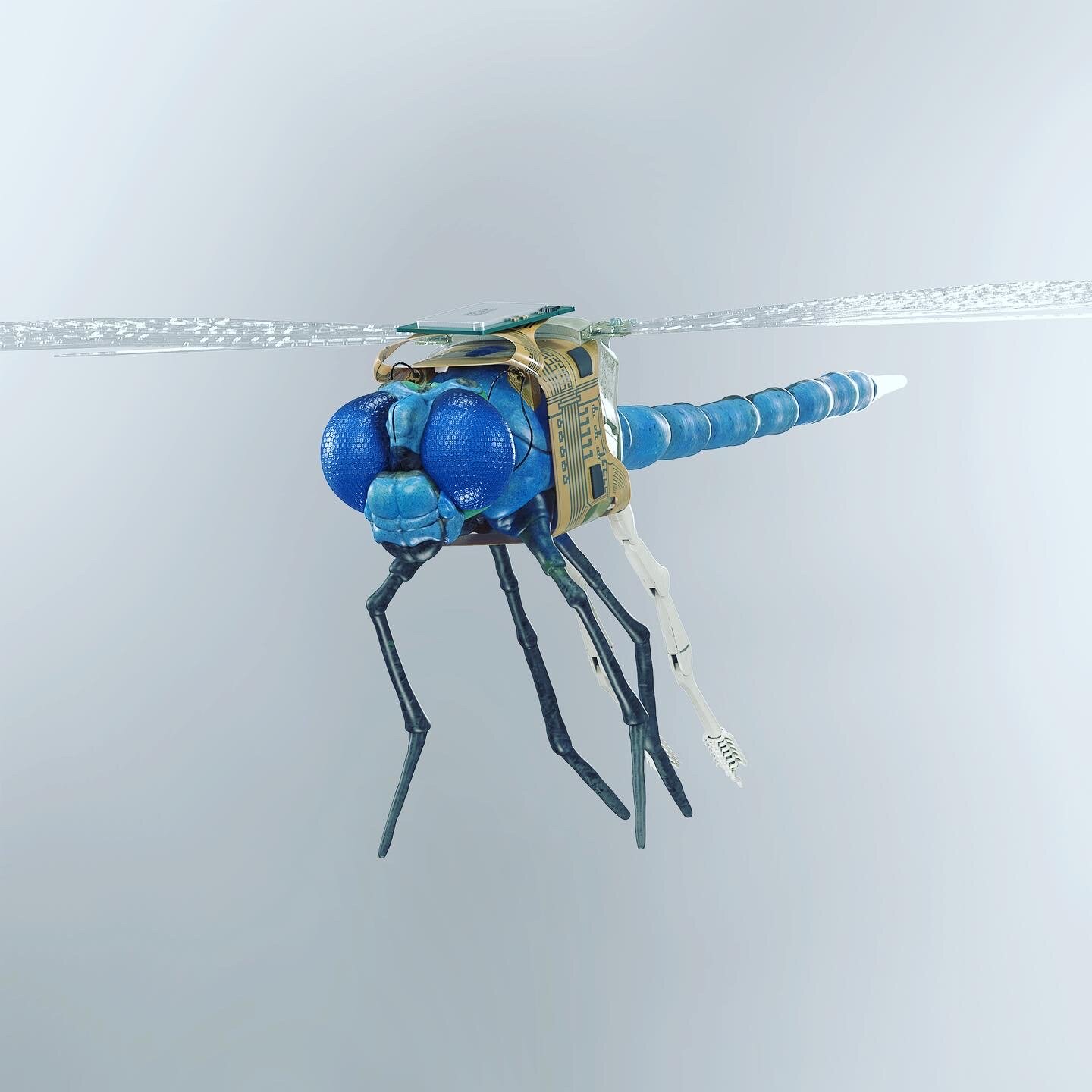 B218F4CB-D860-4213-86D6-B333C8DB3C01.jpeg