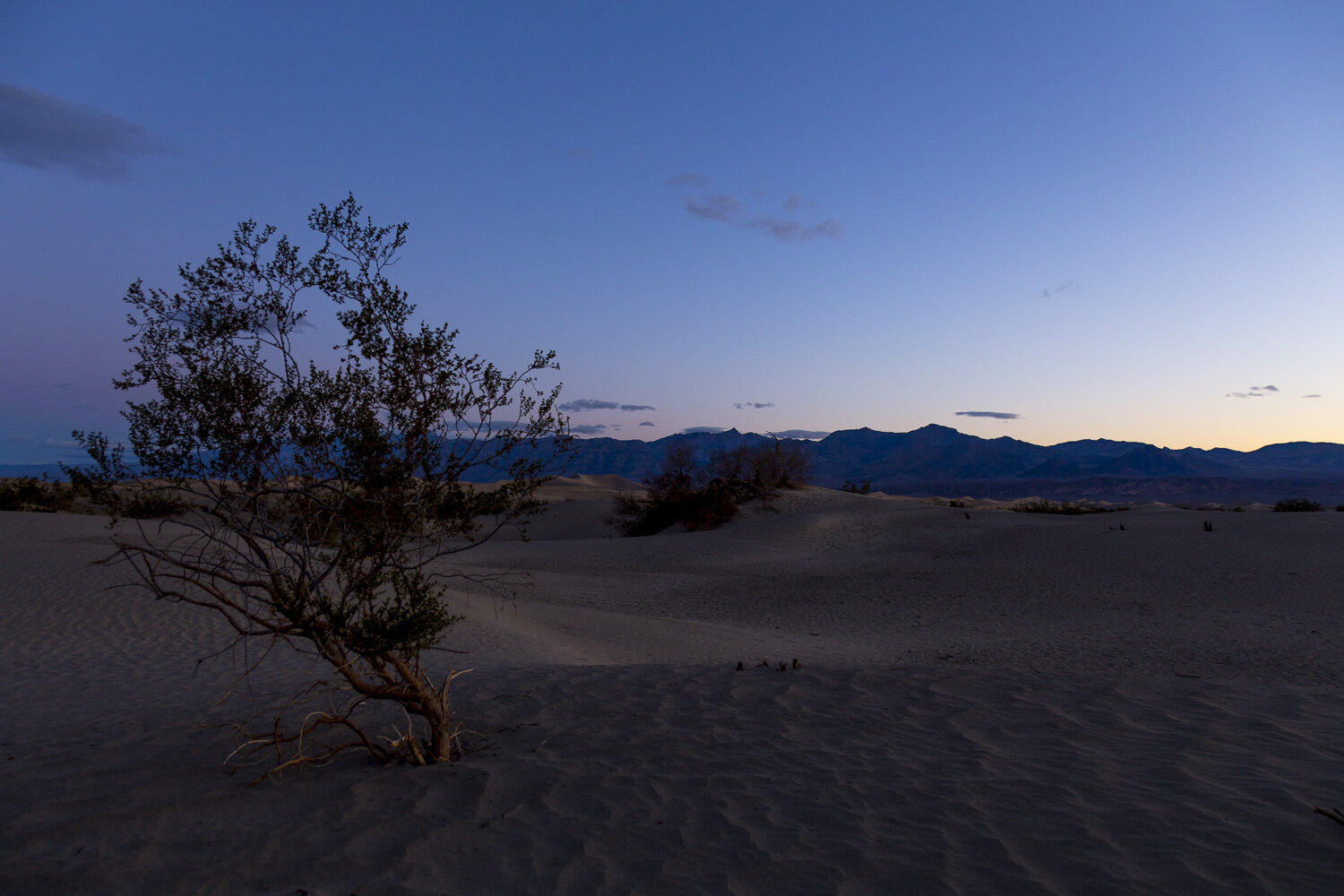 sunrise_mesquite_flat_dunes_death_valley_national_park.jpg