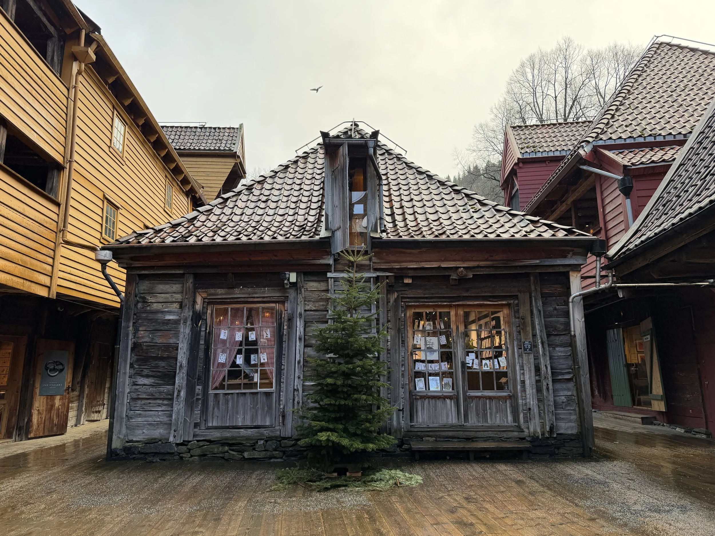 Bergen Norway TravelswithTesa.JPG