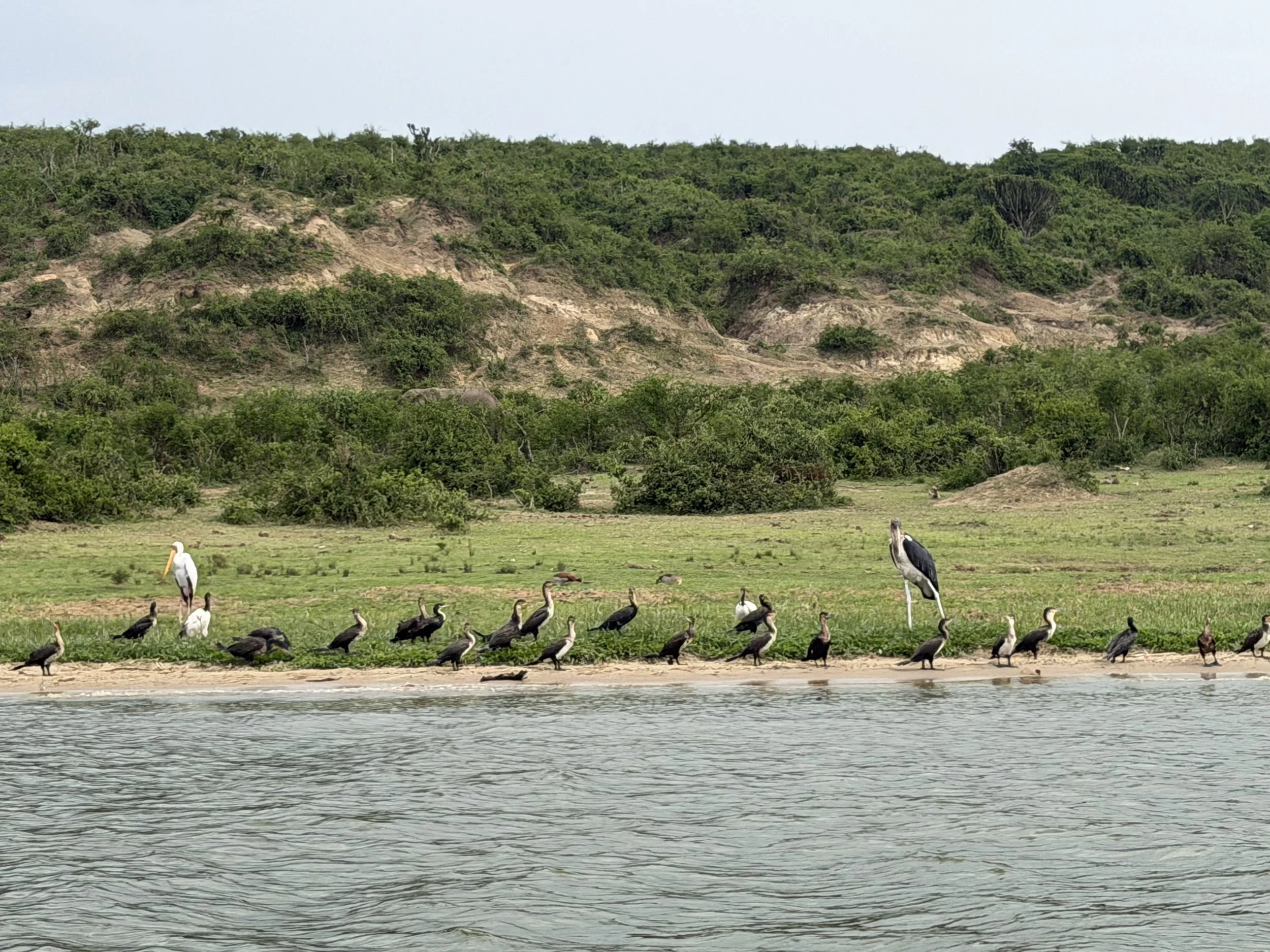 KazingaChannel Uganda TravelswithTesa.JPG