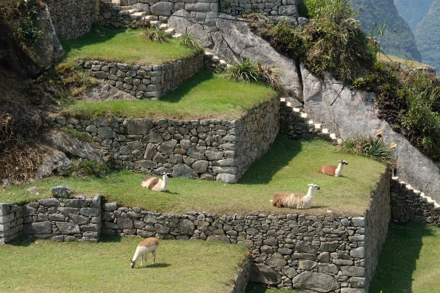 19A6BAAA-203F-4048-9F8F-B7D5FA487F0D-16336-00000A342587FD14.jpg