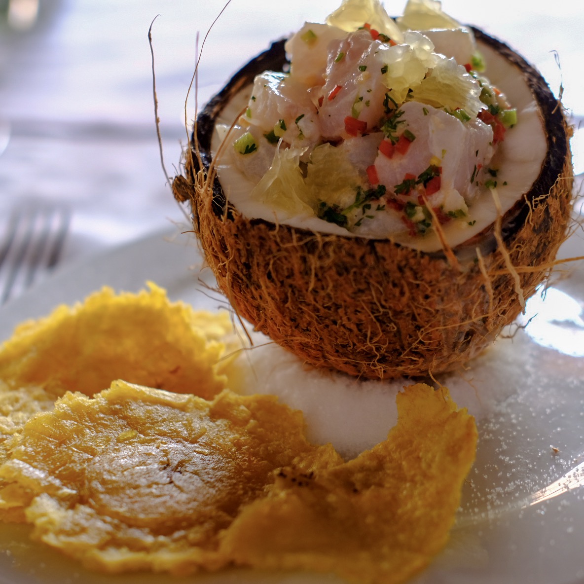 Ceviche at Casa don Sancho.jpg