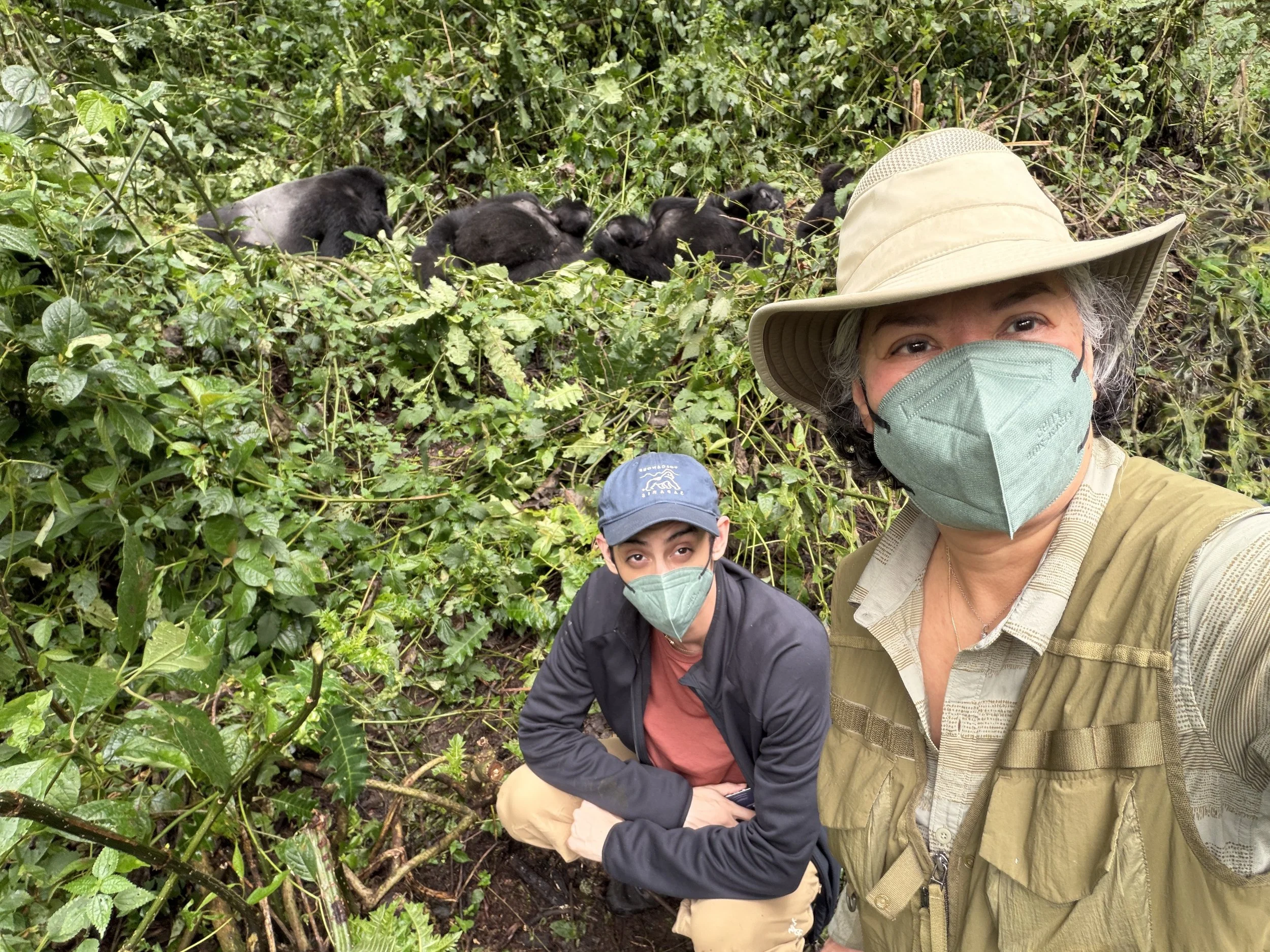 BwindiImpenetrableForestUganda Gorillas TravelswithTesa.JPG