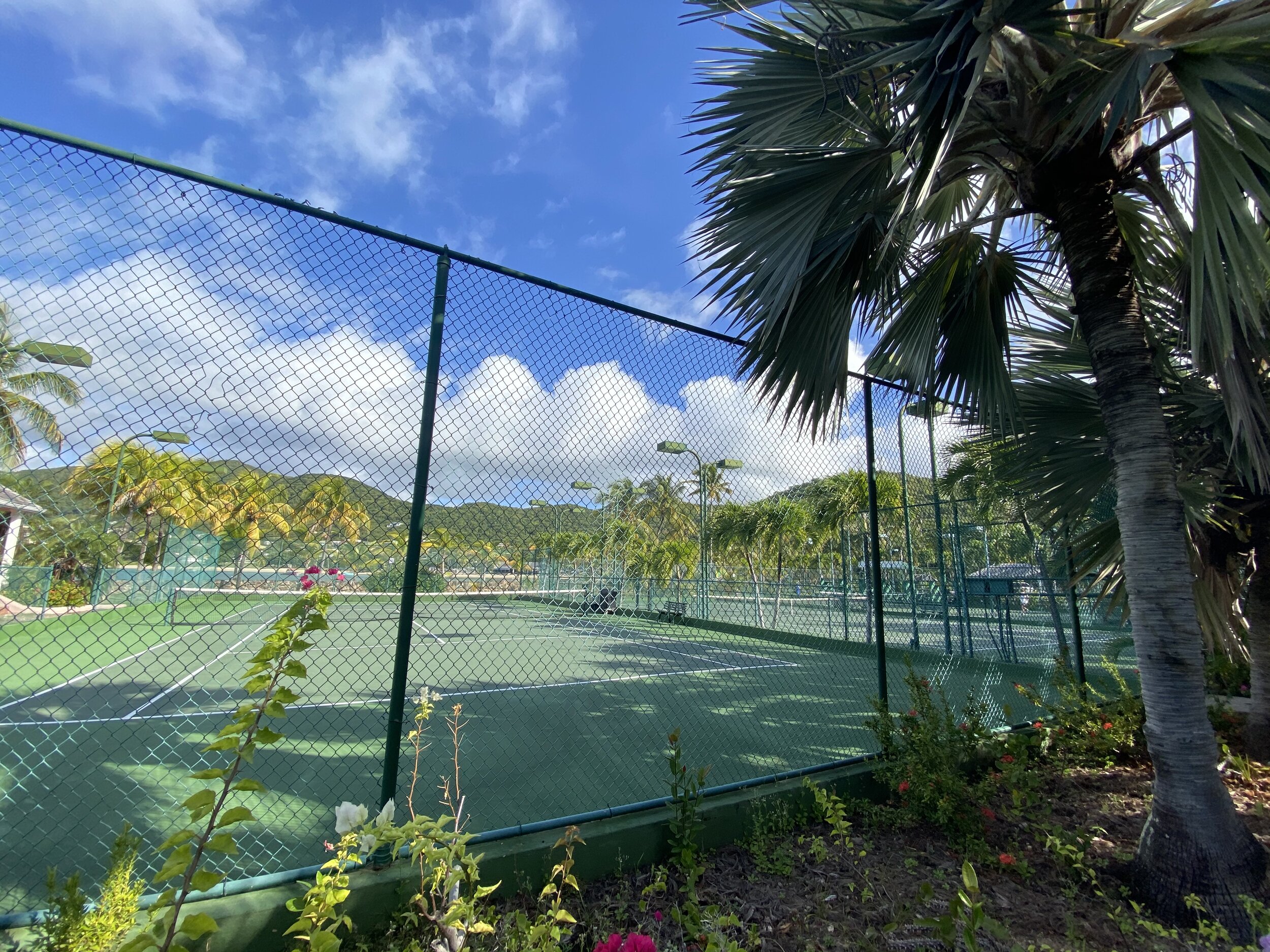 Four tennis courts