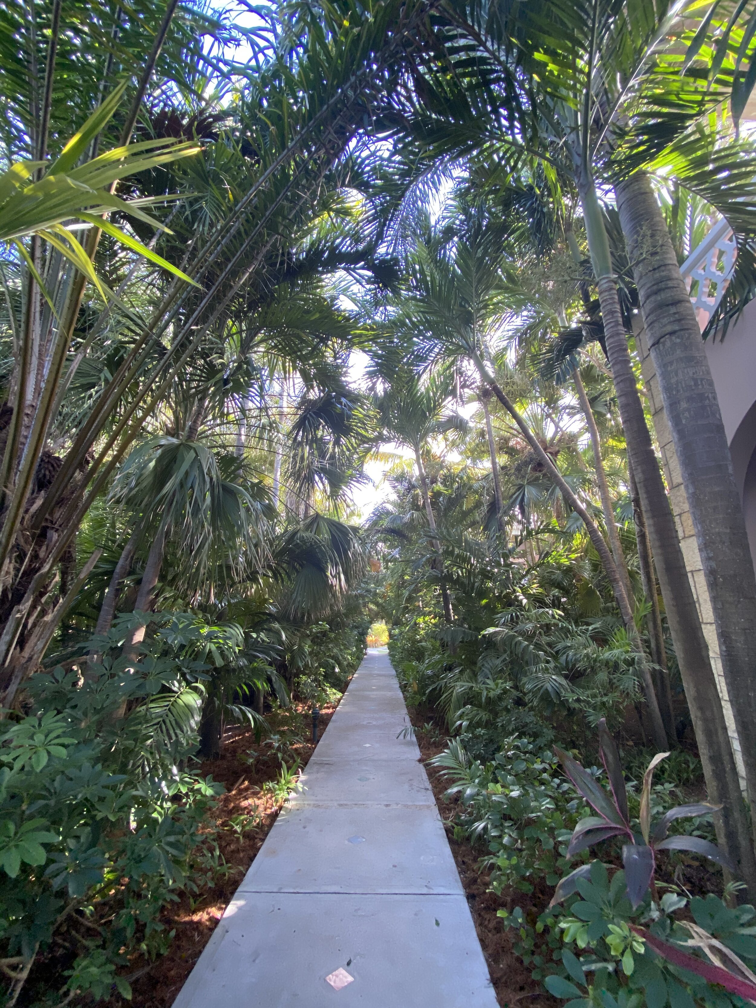 Landscaping at Curtain Bluff