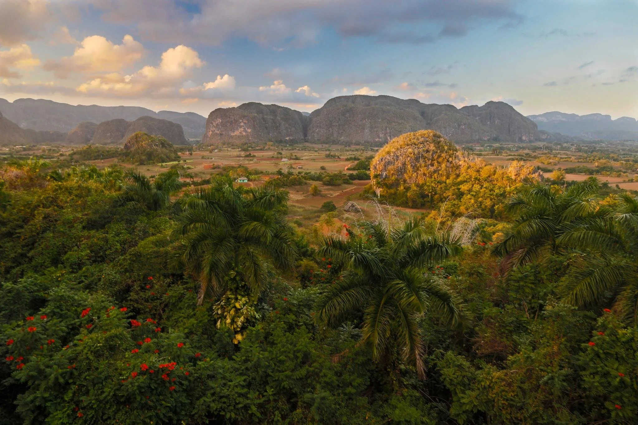 VINALES.jpg