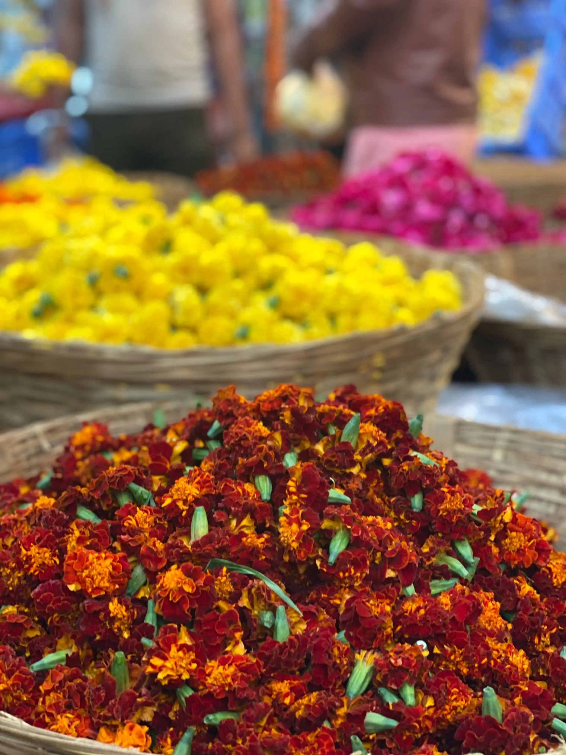 Mumbai Flower Market