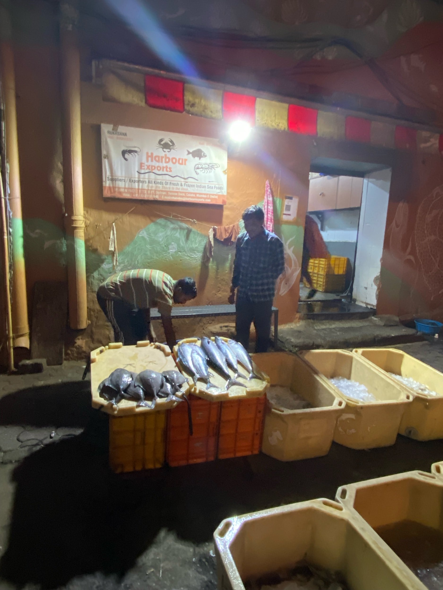Mumbai Fishing Market