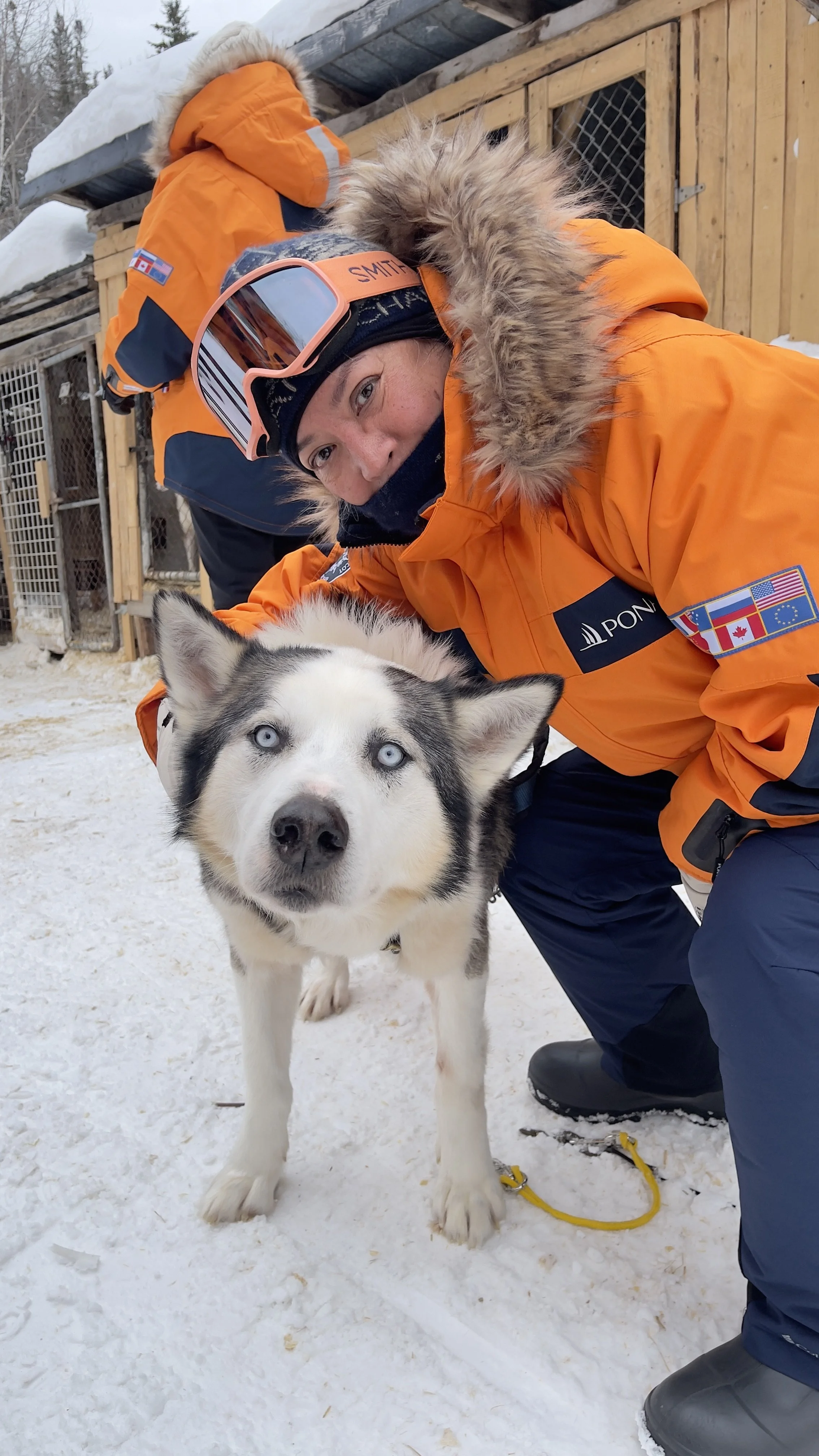 Dog Sledding through the Boreal Forest