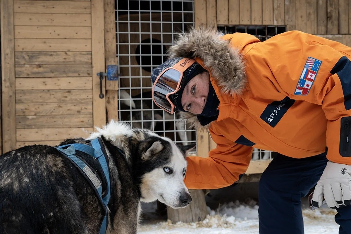 Dog Sledding through the Boreal Forest