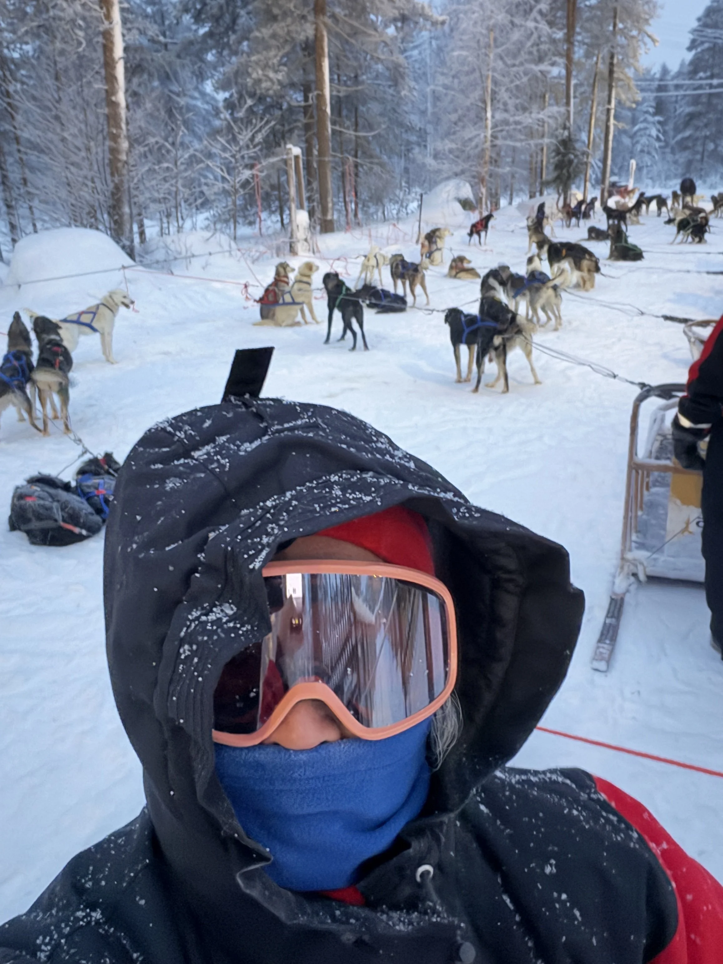 Finland Lapland Reindeer TravelswithTesa.JPG