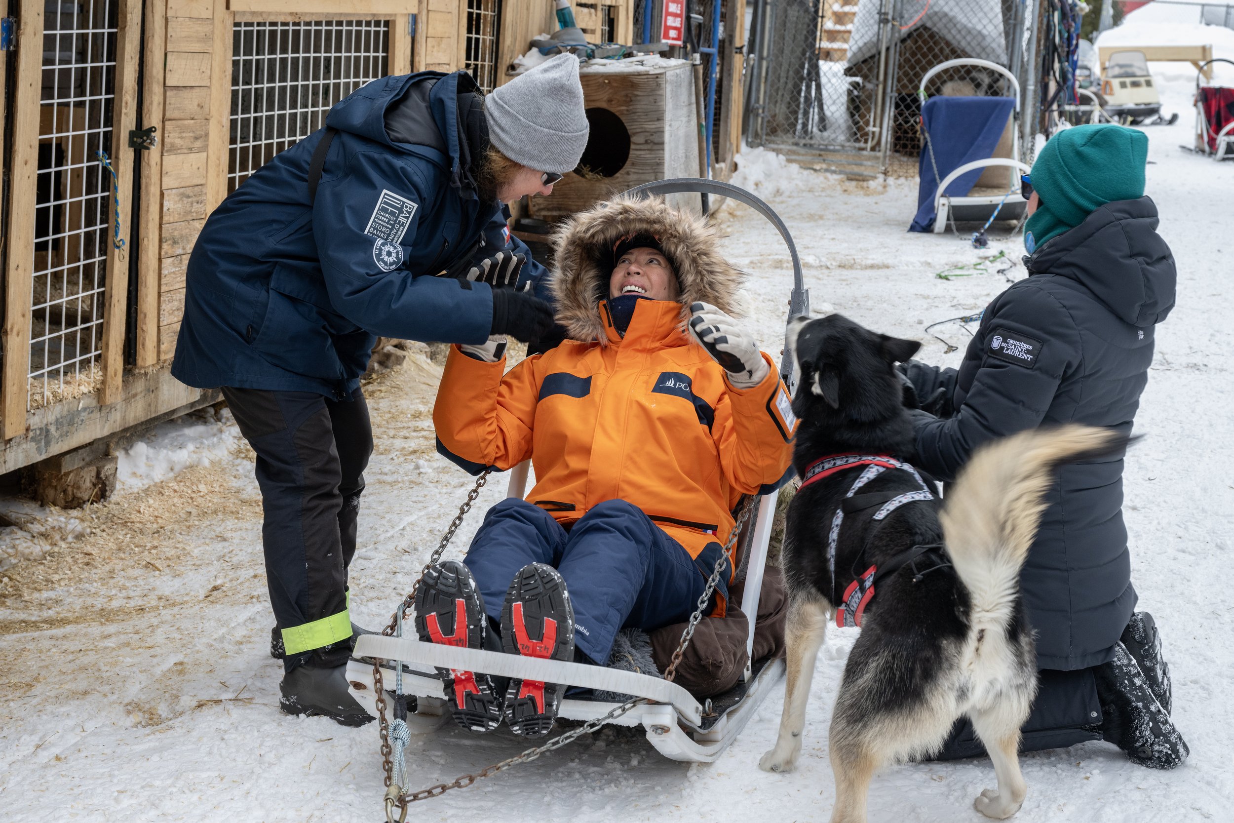 Dog Sledding through the Boreal Forest