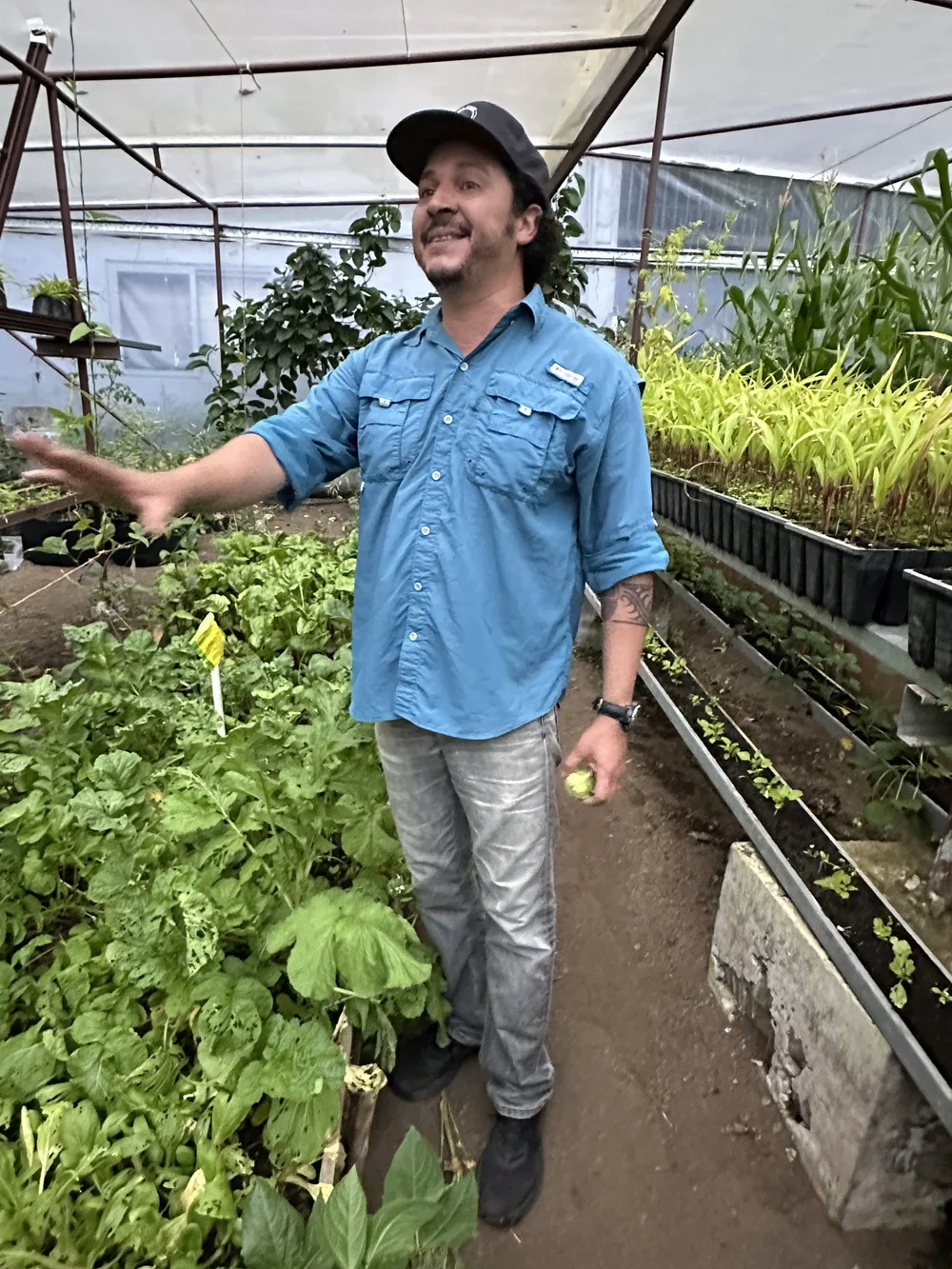 Panama_Boquete_HaciendaMamecillo_TravelswithTesa.JPG