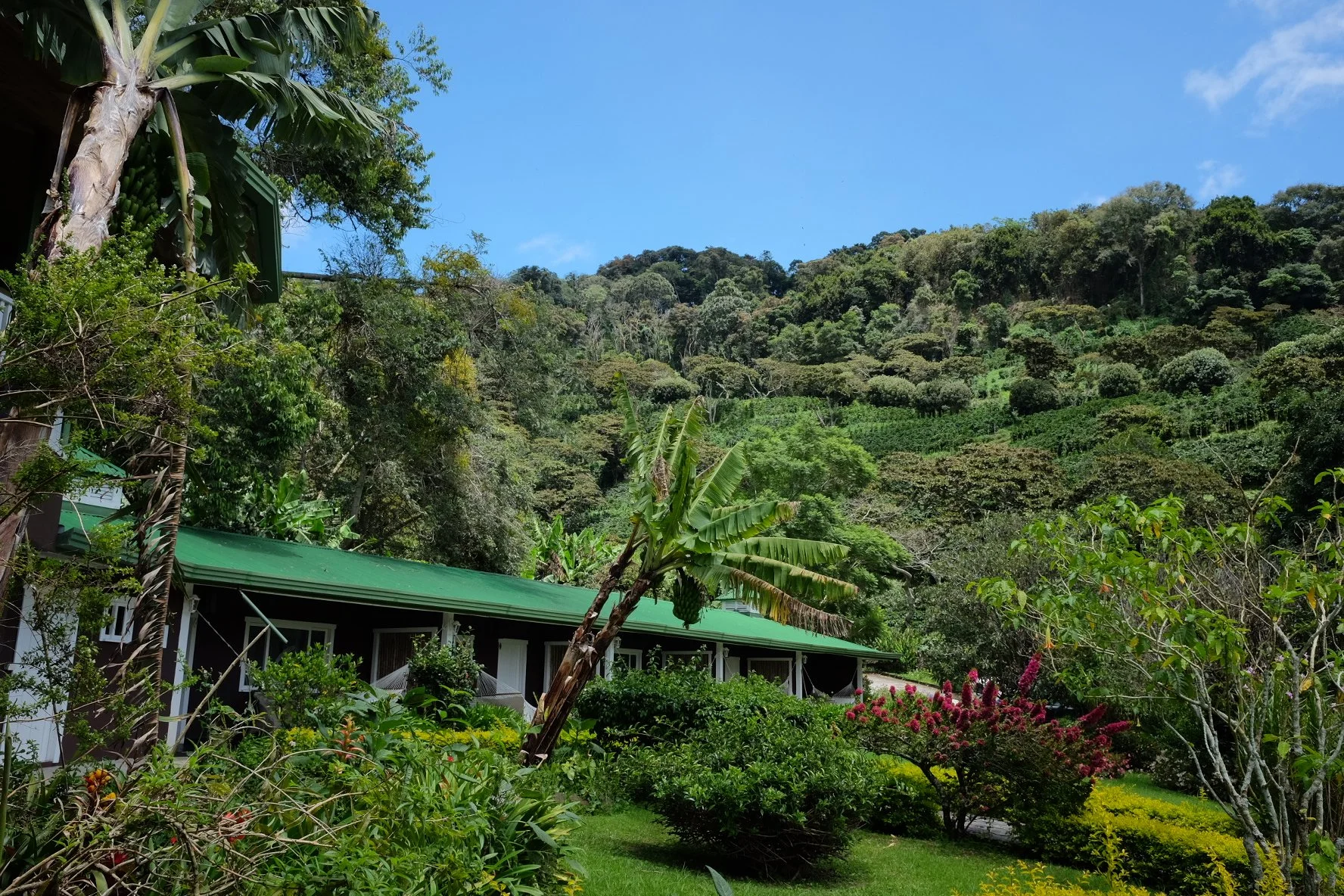 FincaLerida_Panama_Boquete_CoffeeEstate_TravelswithTesa.jpg