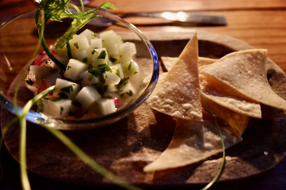 Panama_HaciendaMamecillo_Boquete_ChayoteCeviche_TravelswithTesa.jpg