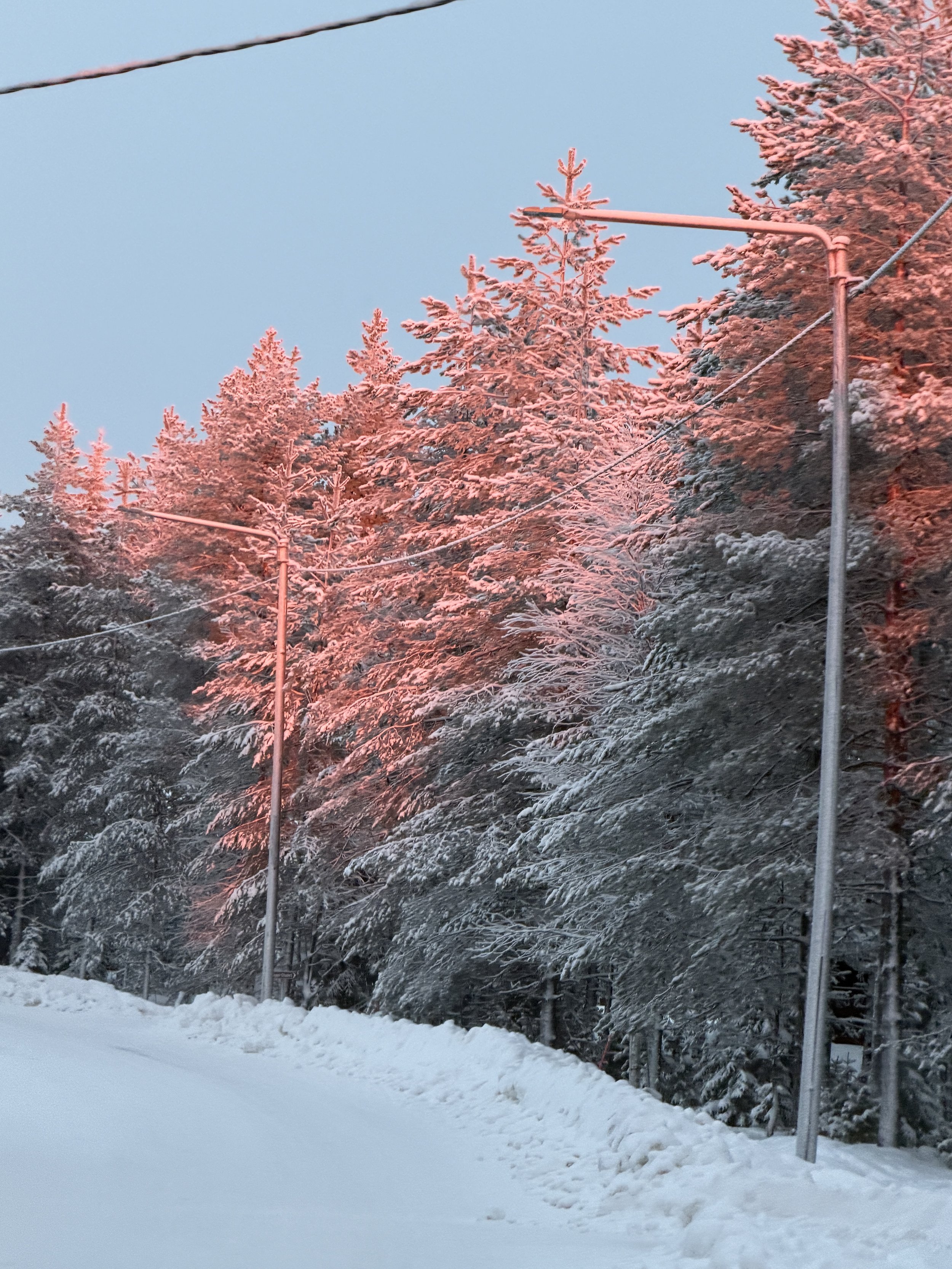 Finland Lapland Arctic TravelswithTesa.JPG