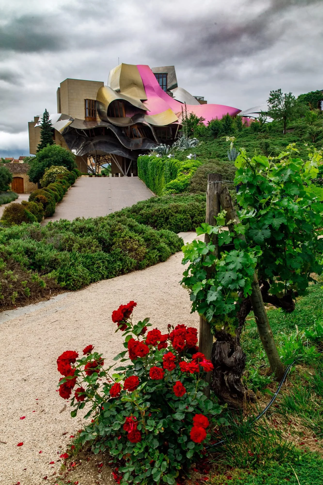 spain-rioja-basque-alavesa-marques-de-riscal-frank-gehry-travels-with-tesa.JPG