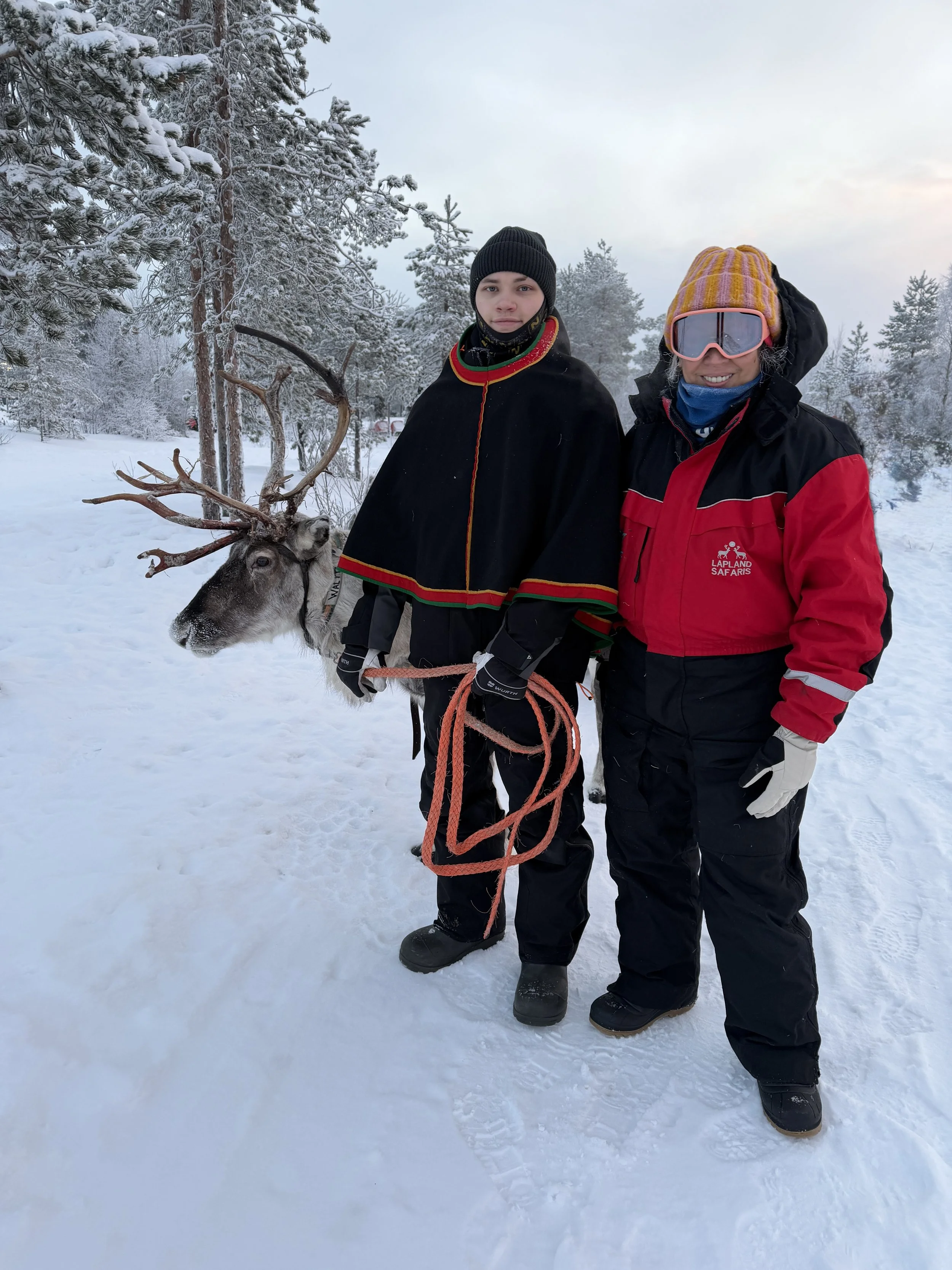 Finland Lapland Arctic TravelswithTesa Reindeer.JPG