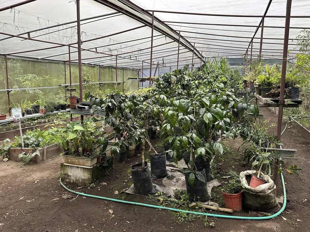 Panama_Boquete_HaciendaMamecillo_TravelswithTesa.JPG