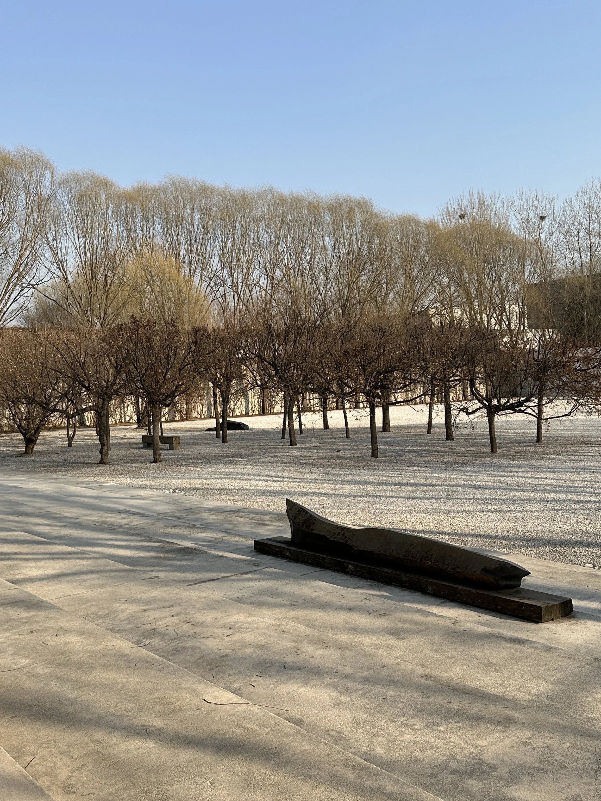 China Beijing TravelswithTesa.JPG